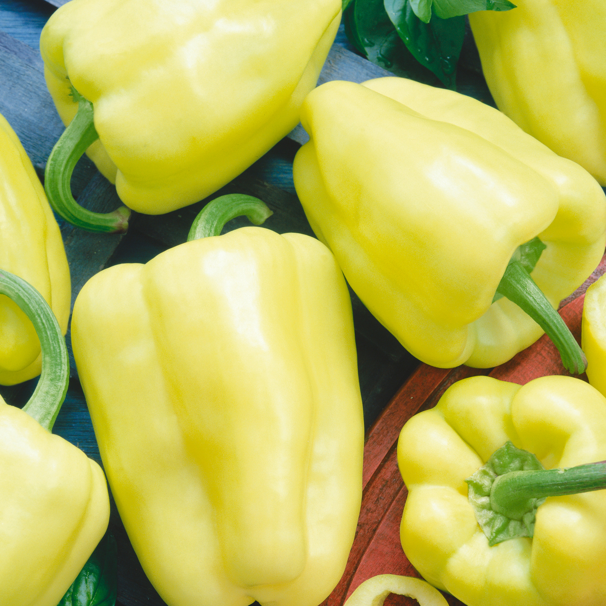 White Zinfandel F1 Hybrid Sweet Pepper Seeds - 1 Oz - Garden, Non-GMO