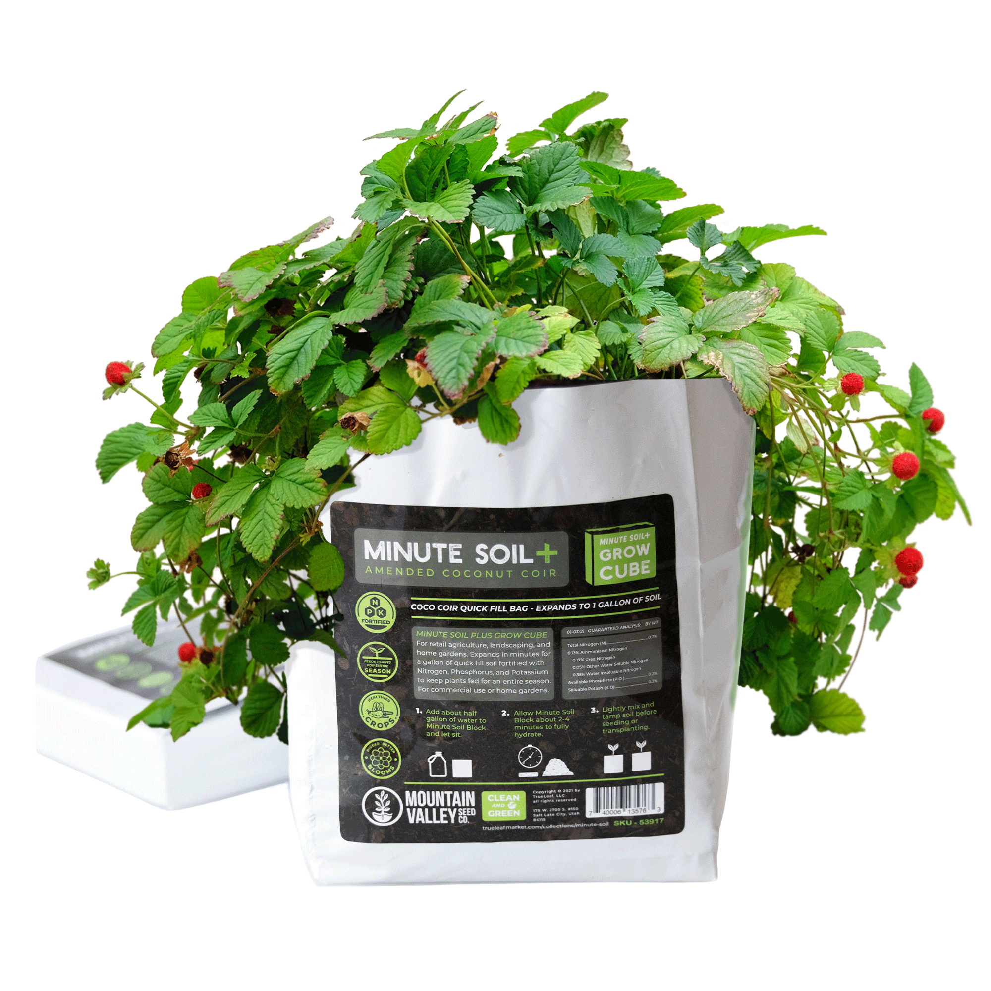 Minute Soil Plus Grow Cube - 1 Gallon Plastic Grow Bag - 5 Cubes - Amended Coconut Coir Fiber Self Contained Expanding Grow Plan