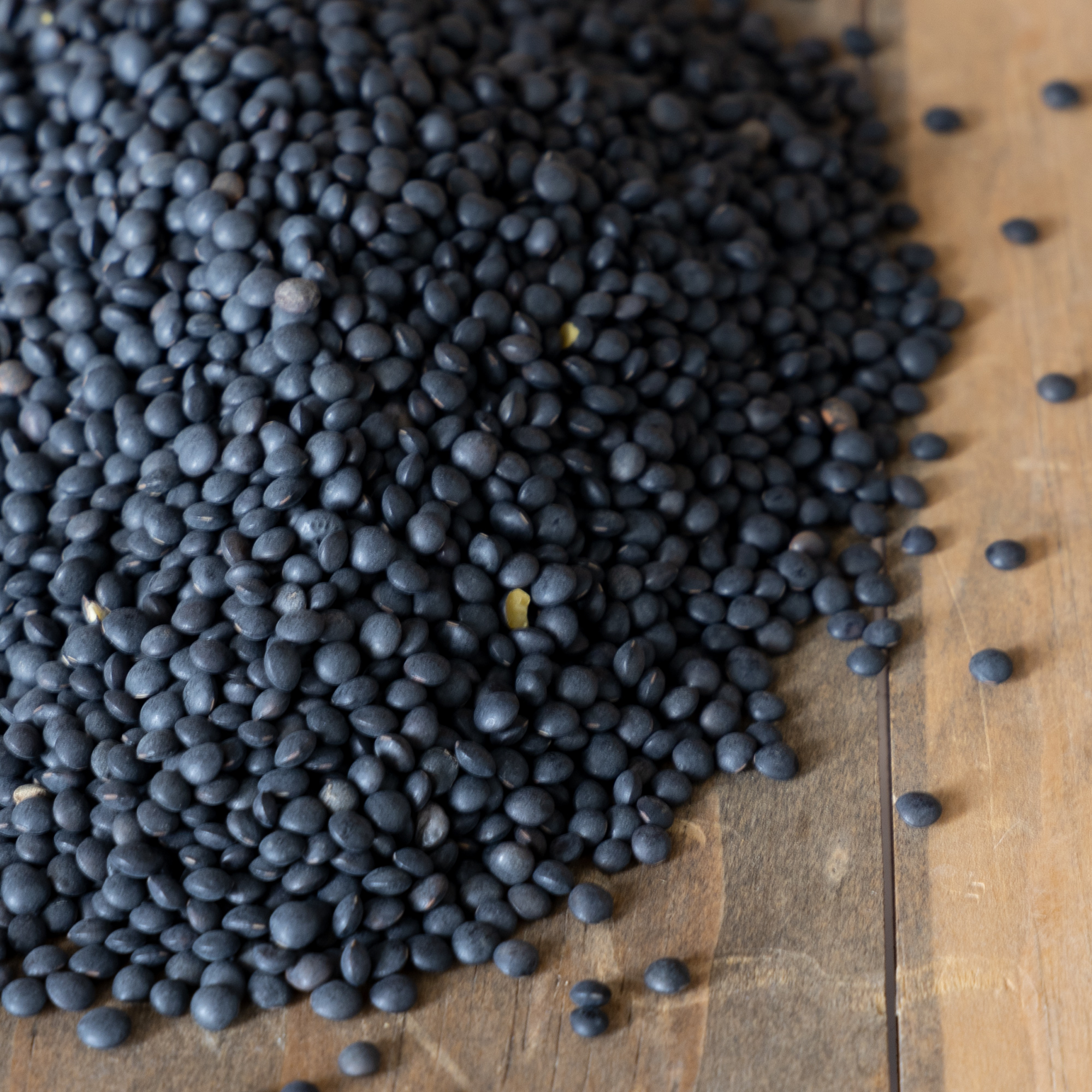 Organic Black Lentil Seeds - 1 Lb ~9600 Seeds - Heirloom, Non-GMO Vegetable Garden & Sprouting - Indian Lentils