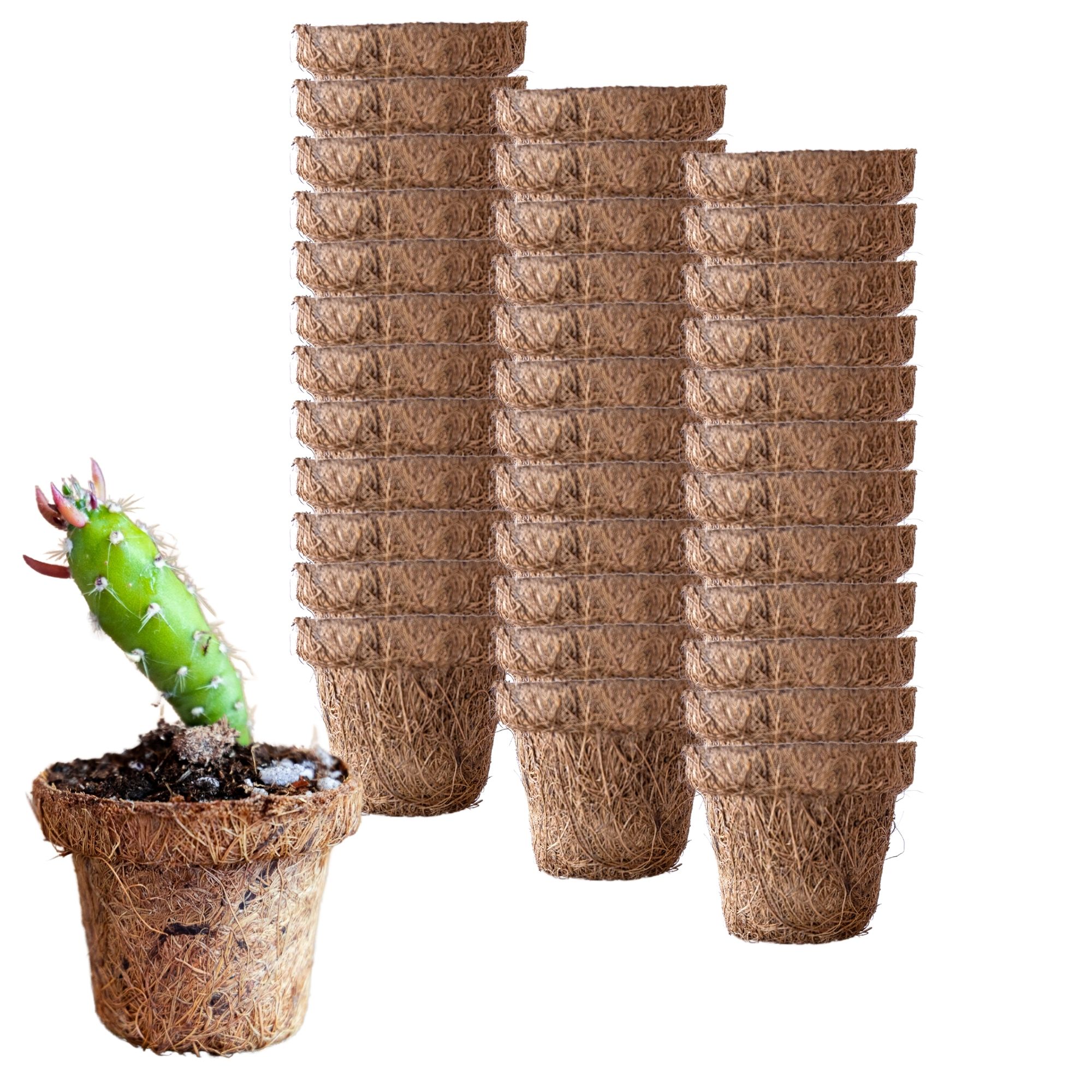 Coconut Fiber Plant Seedling Pots - Round - 36 Pack - 2.5 In. Rim x 2 In. Tall - Sustainable, Biodegradable Garden Seed Starting