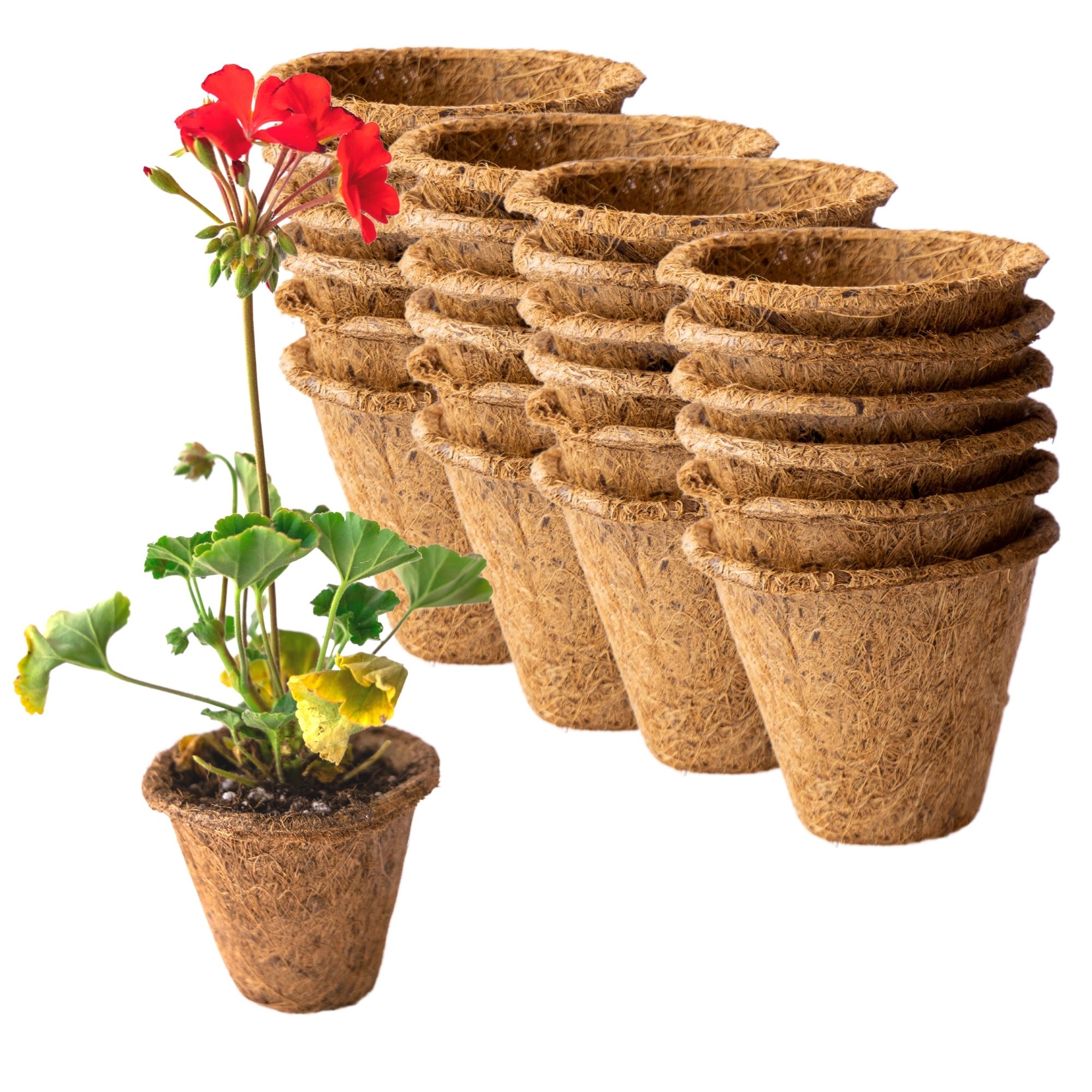 Coconut Fiber Plant Seedling Pots - Round - 24 Pack - 4 In. Rim x 3.25 In. Tall - Eco Friendly, Biodegradable Garden Seed Starti