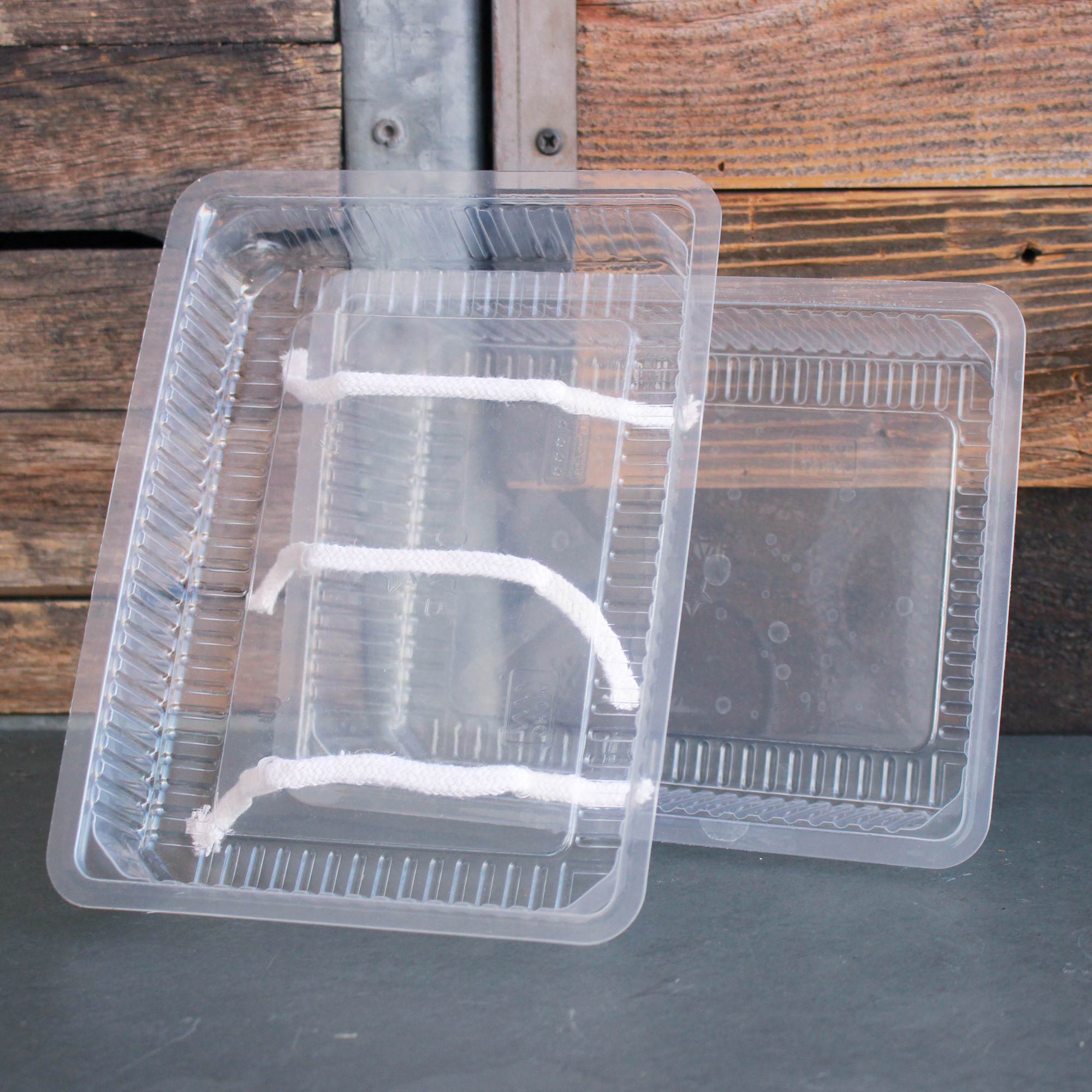 Self Watering Microgreens Grow Trays - 2 Trays - Reusable - Micro Greens - Reusable Greenhouse & Nursery Growing Trays - Micro G