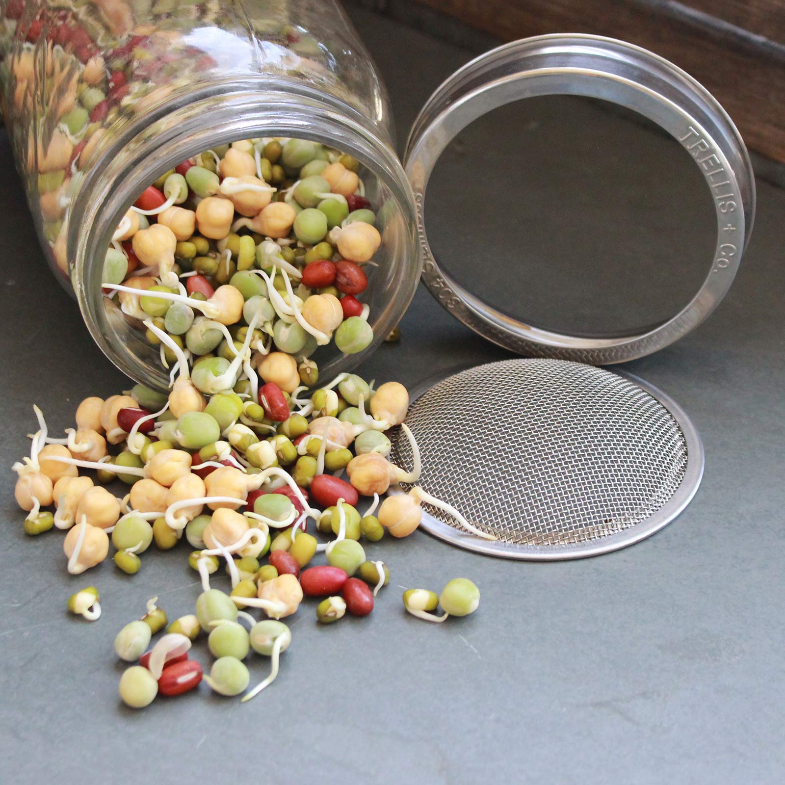 Quart Sprouting Jar Kit - Organic Seeds, Stainless Steel Strainer Lid - Sprouts, Sprouting - Healthy Living & Raw Food - Grow, G