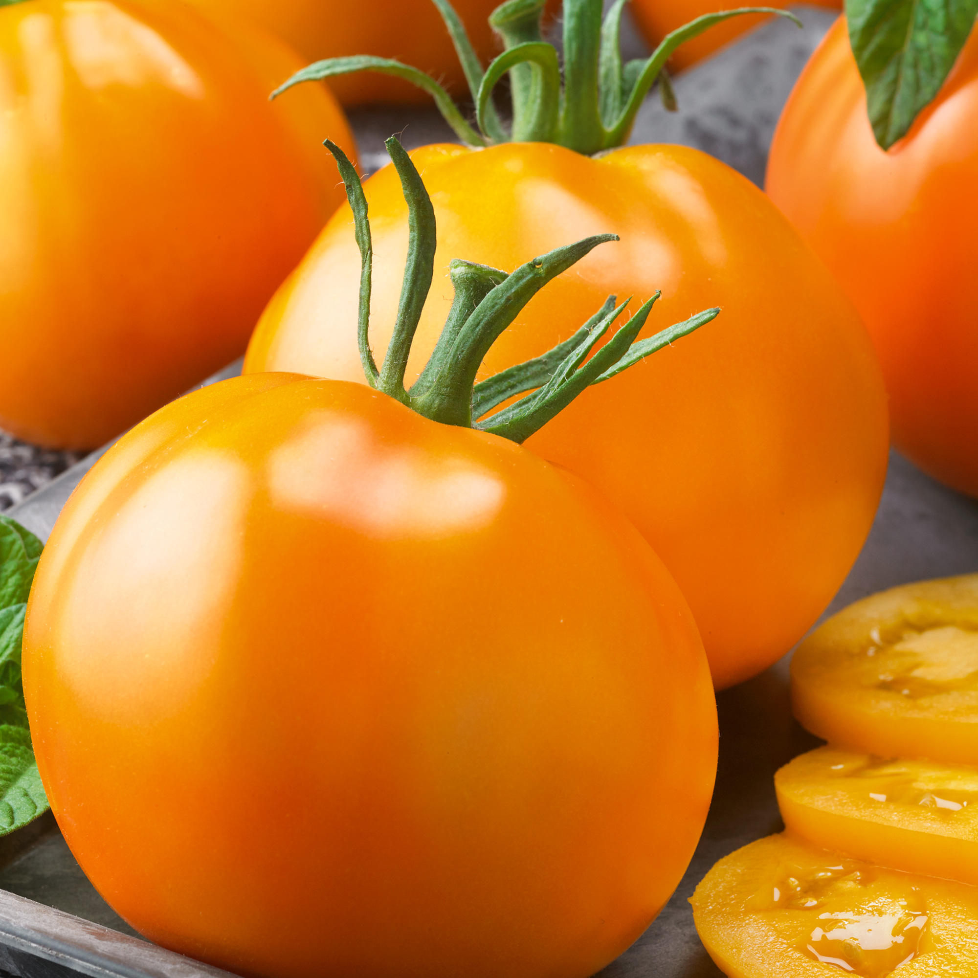 Organic Golden Jubilee Tomato Seeds - 4 Oz - Garden, Non-GMO