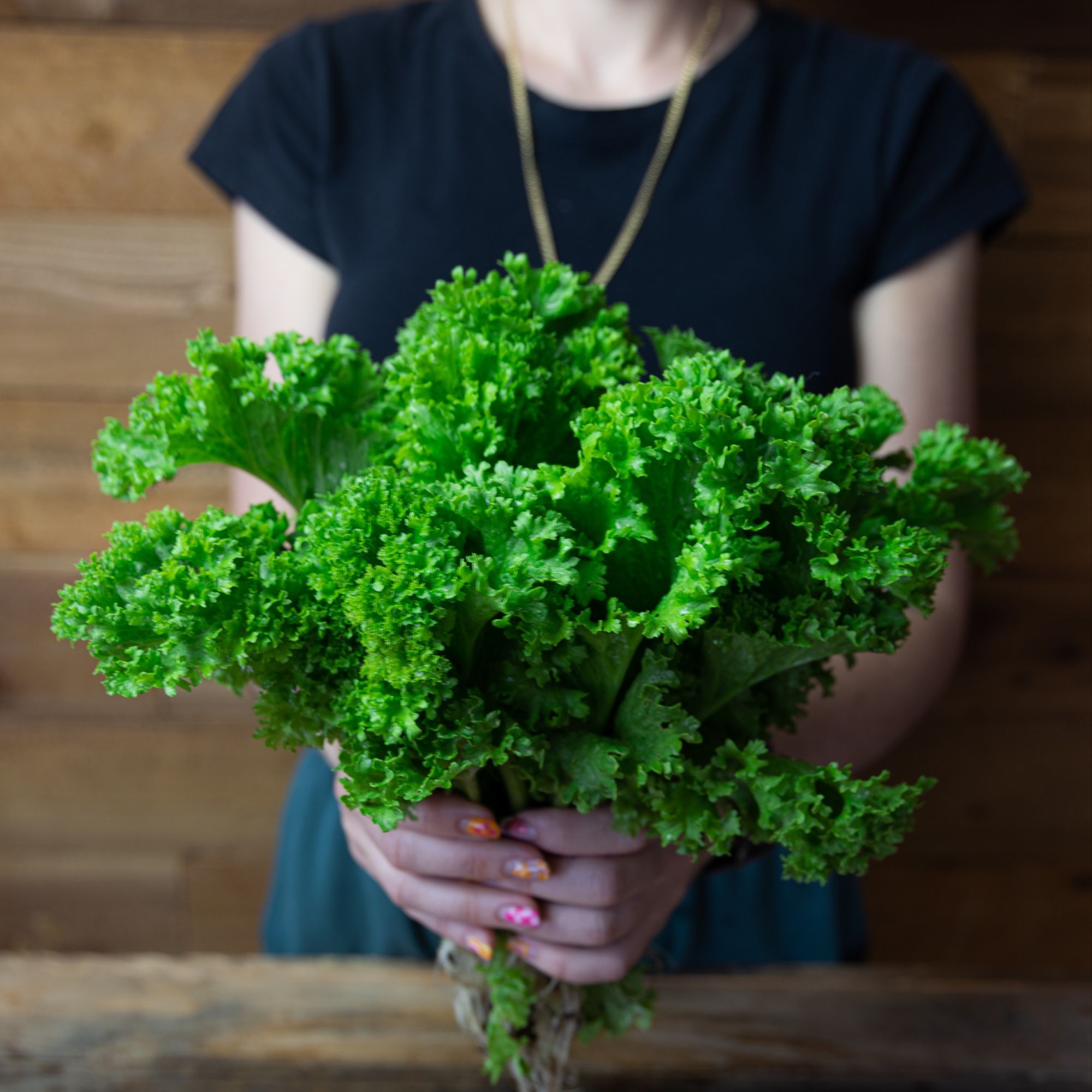 Mustard Seeds - Chirimen Hakarashi -1 Oz ~10000 Seeds - Non-GMO, Heirloom - Asian Garden Vegetable, Microgreens & Herb Gardening