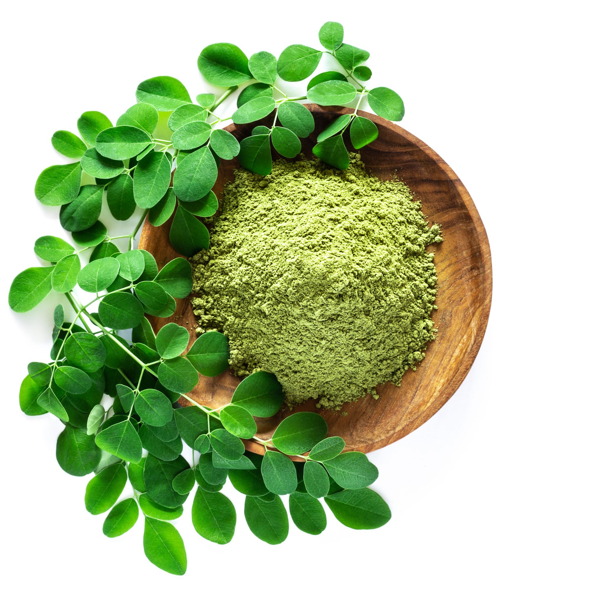 Moringa Seeds for Planting - 10 g Packet ~39+ Seeds - Grow Moringa Seeds to Eat - Moringa Plant Tree Seedlings - Moringa Oleifer