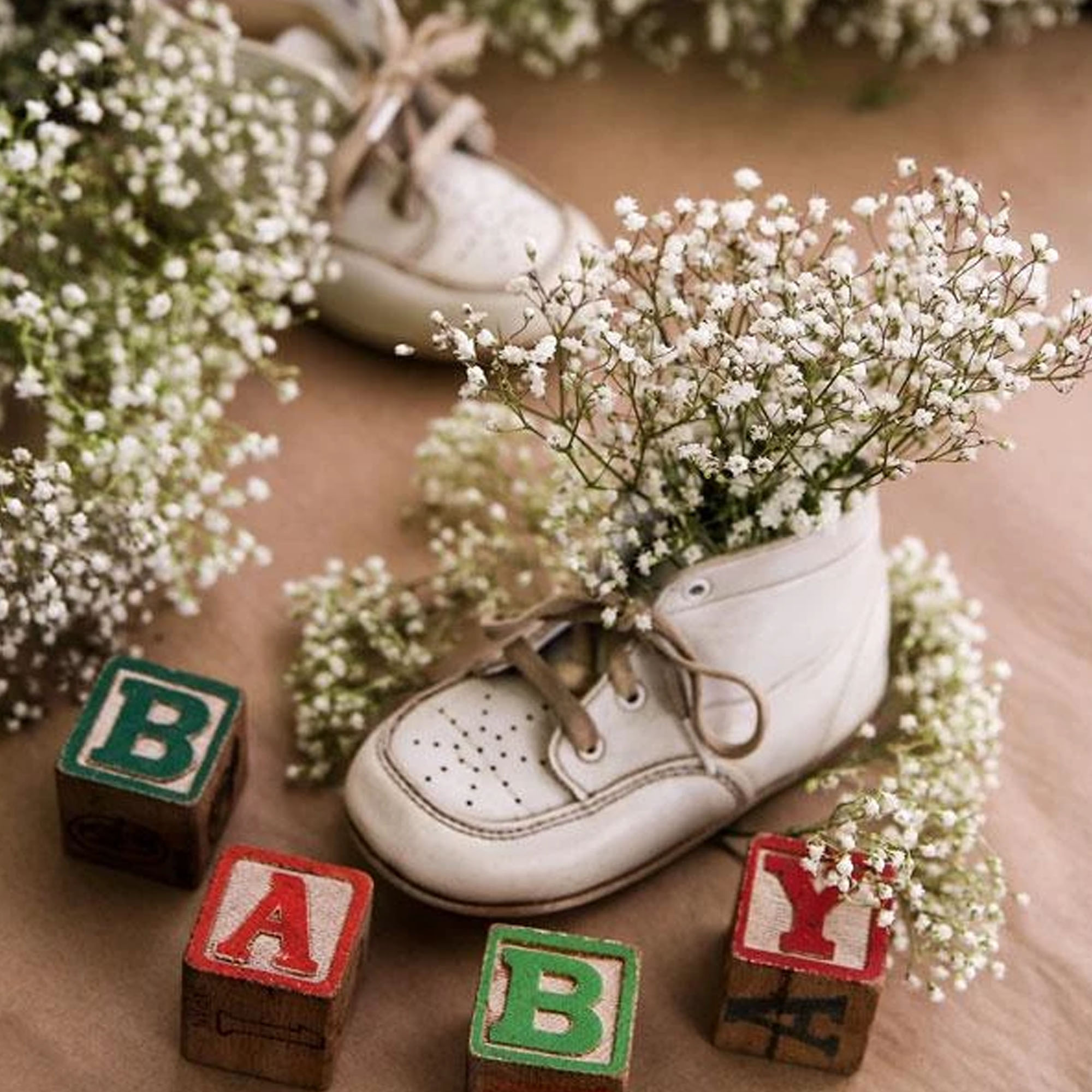 Baby's Breath Flower Seeds - 0.25 Oz ~5000 Seeds - Annual Flower - Buy Flower Garden Seeds Online