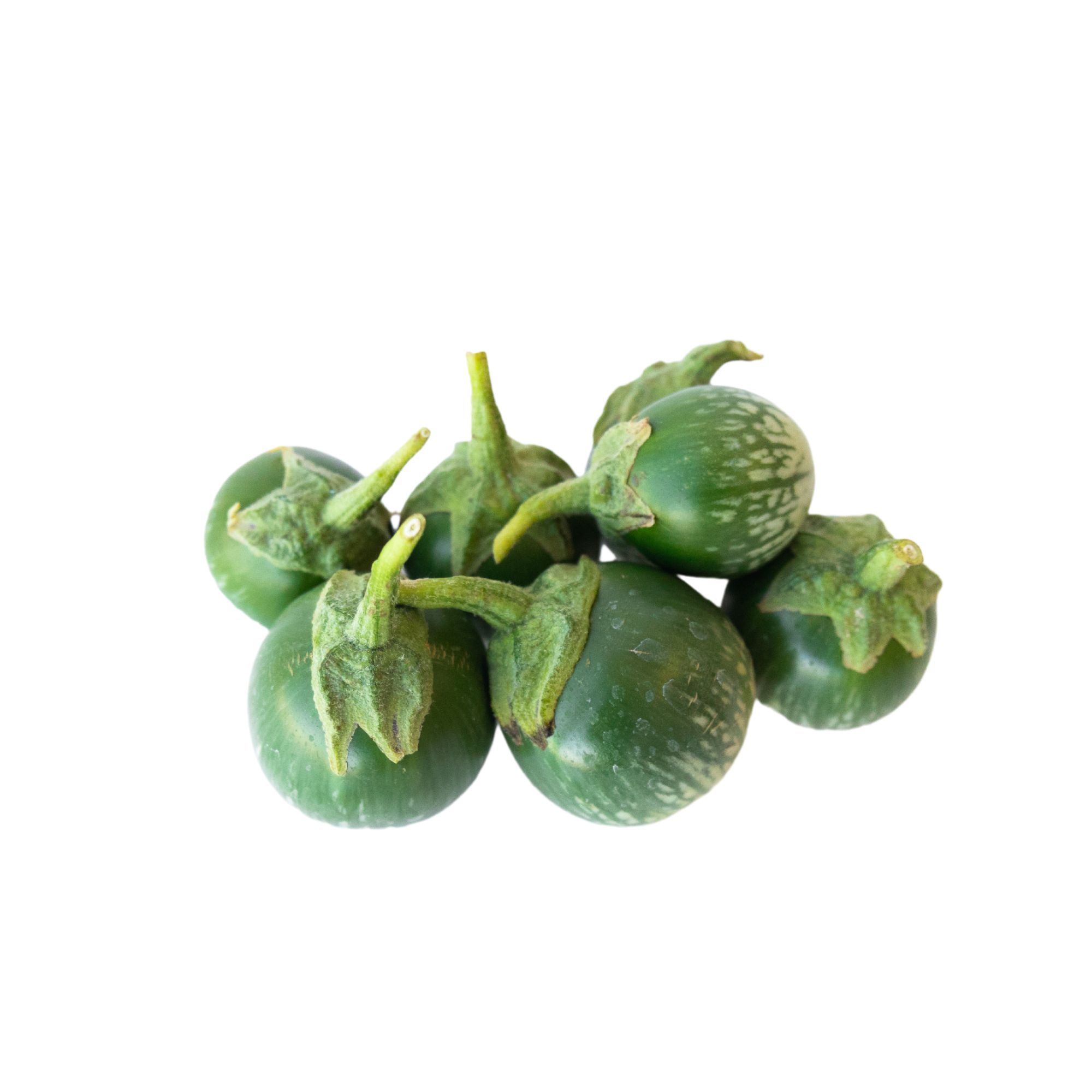 Eggplant Seeds - Petch Siam -500 Mg Packet ~378 Seeds - Non-GMO, Heirloom - Asian Garden Vegetable