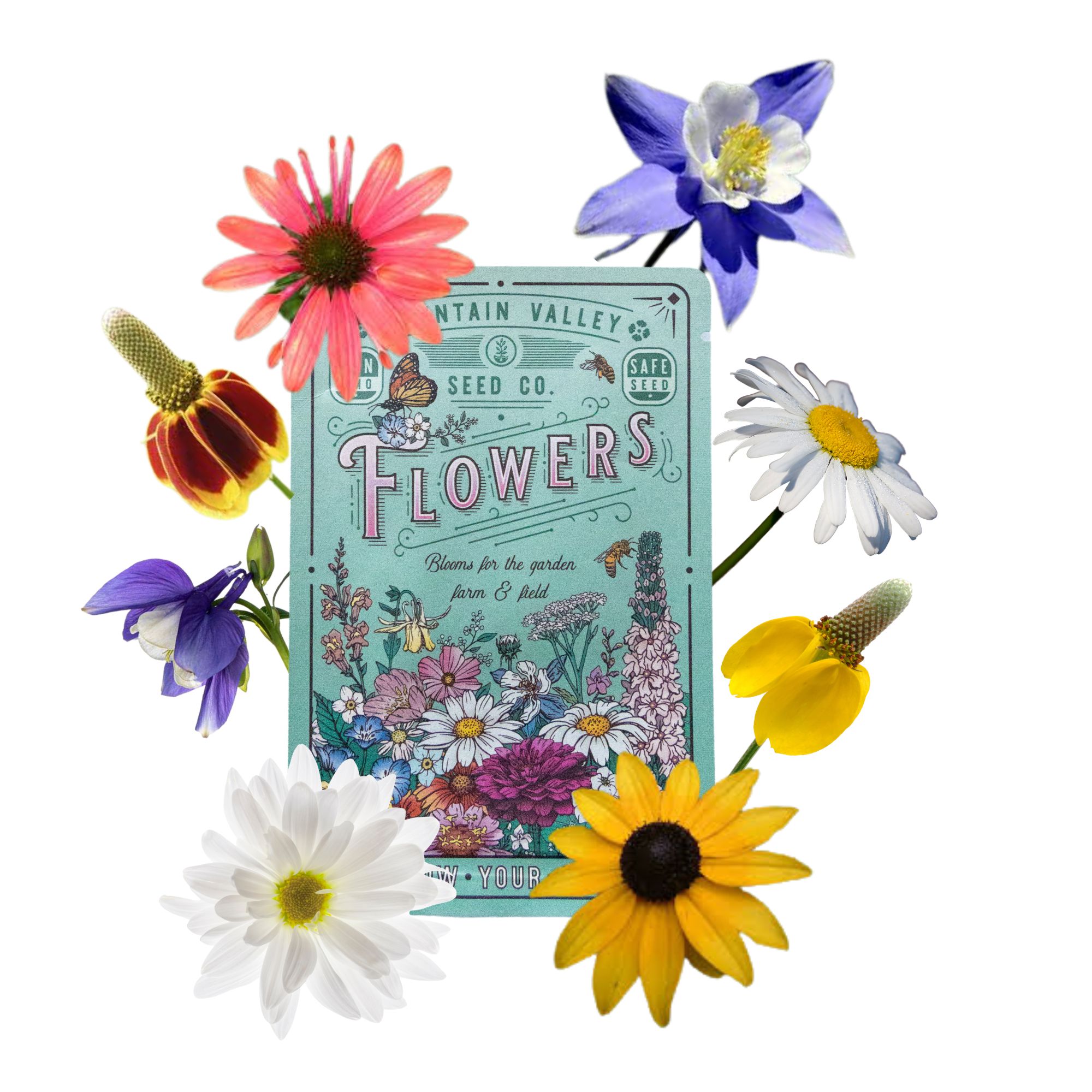 Fall Planting Perennials - 5 Classic Flowers Collection - Flowers for Cold Stratification & Next Year's Blooms