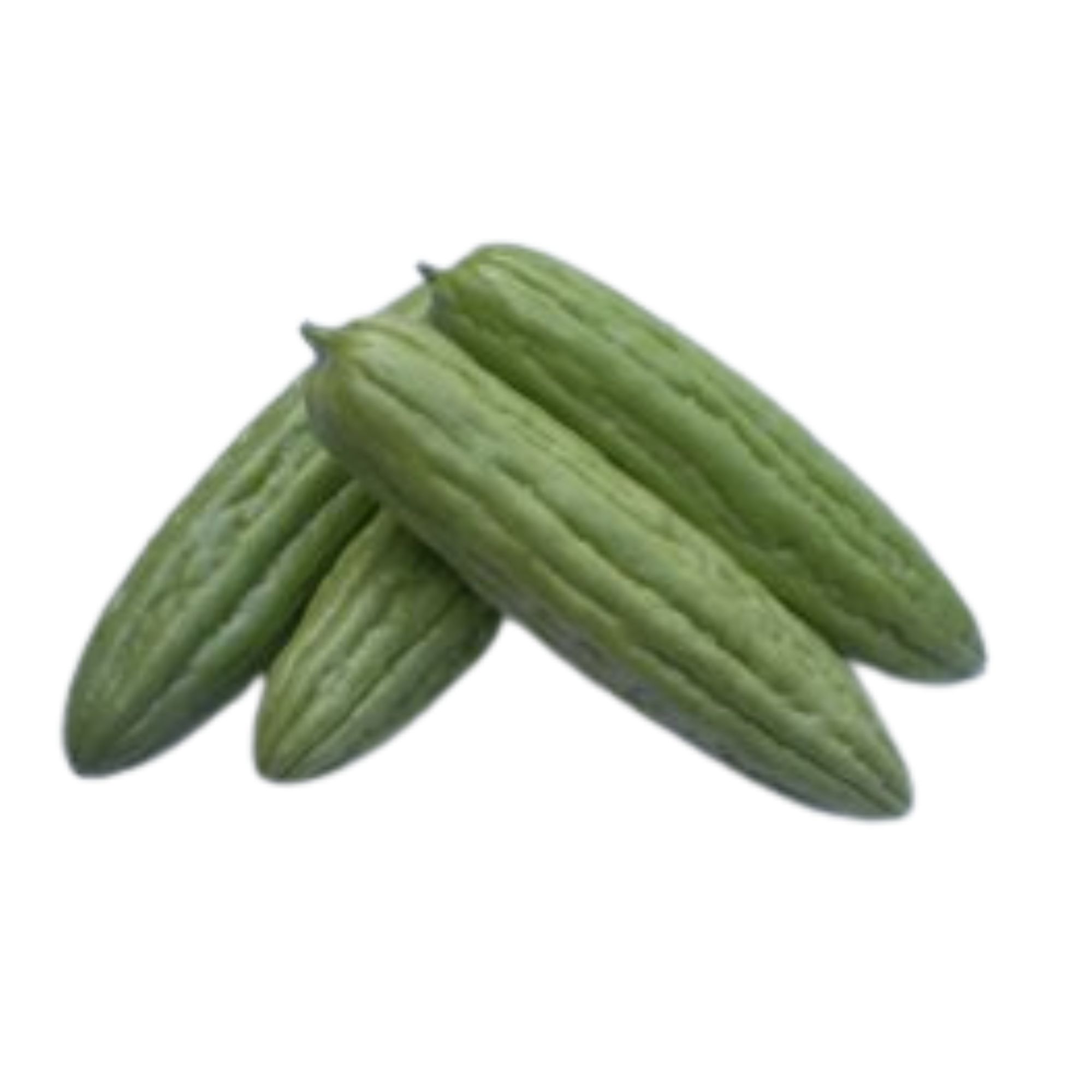 Tai Guo Hybrid Bitter Gourd Seeds for Planting - 2 g Packet ~10 Seeds - Premium Asian Seeds by Kitazawa Seed Company - Momordica