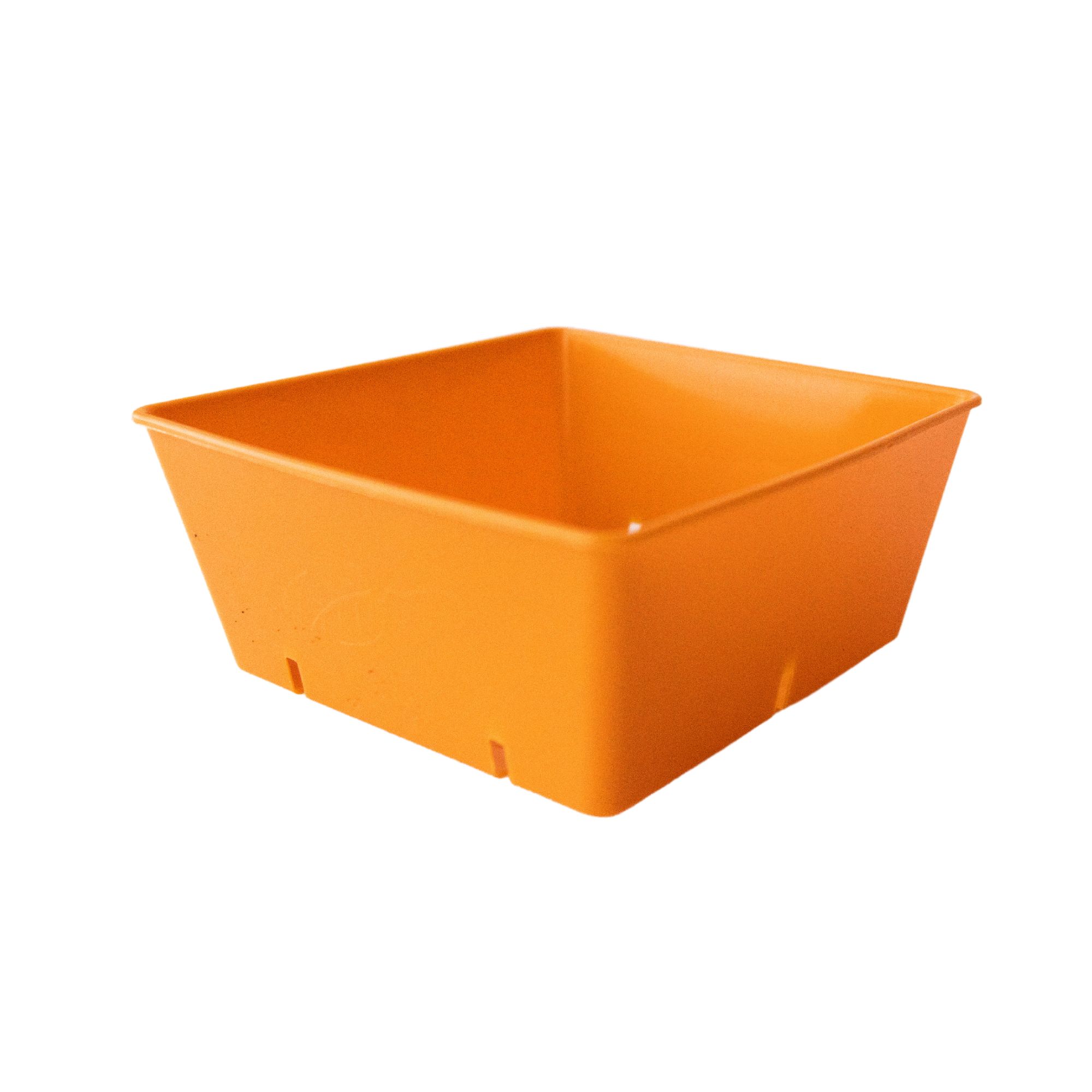 Heavy Duty 5 x 5 Microgreens Tray Inserts - Colorful Orange Tray Inserts for Micro Greens, Wheatgrass, & More - 40 Pack