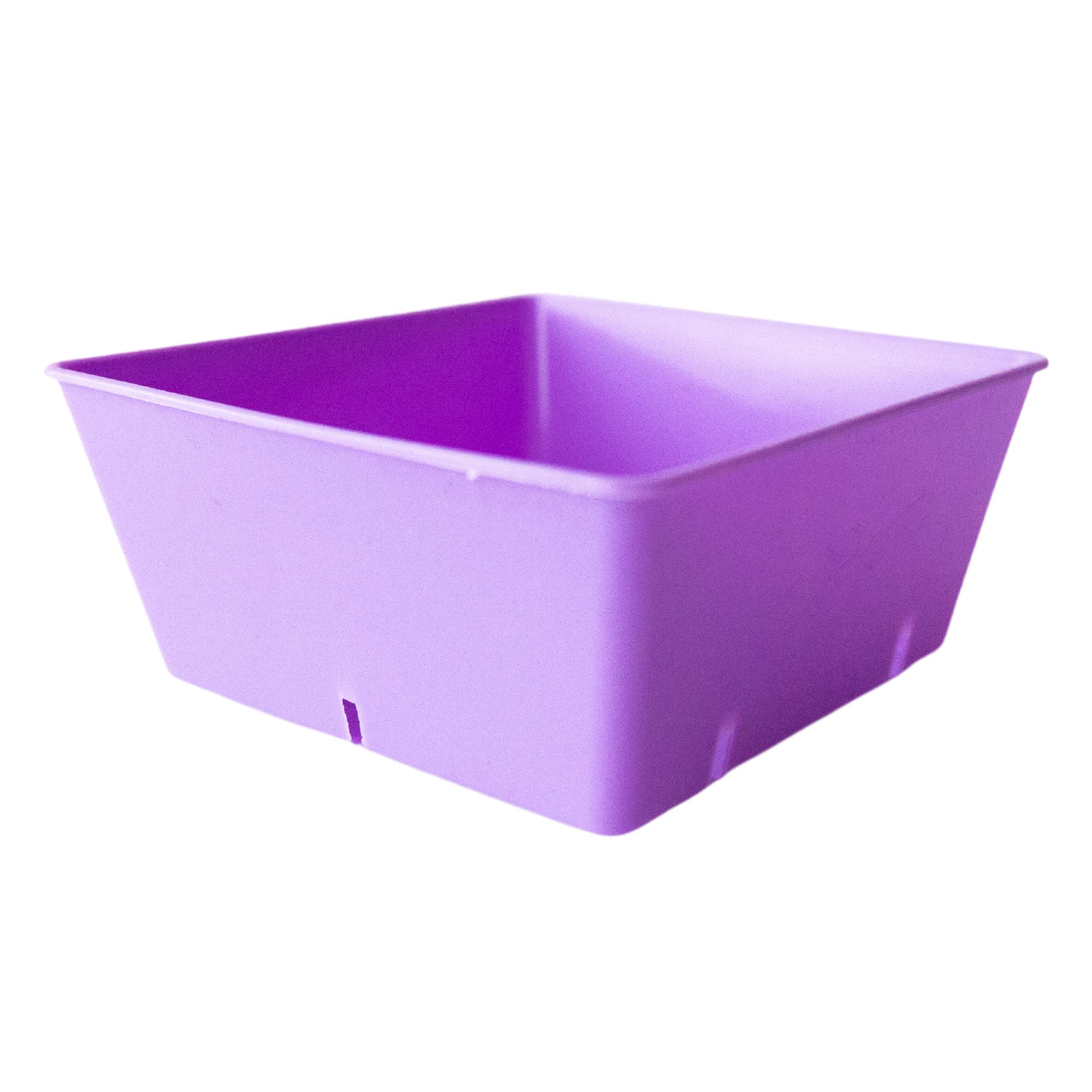 Heavy Duty 5 x 5 Microgreens Tray Inserts - Colorful Purple Tray Inserts for Micro Greens, Wheatgrass, & More - 80 Pack