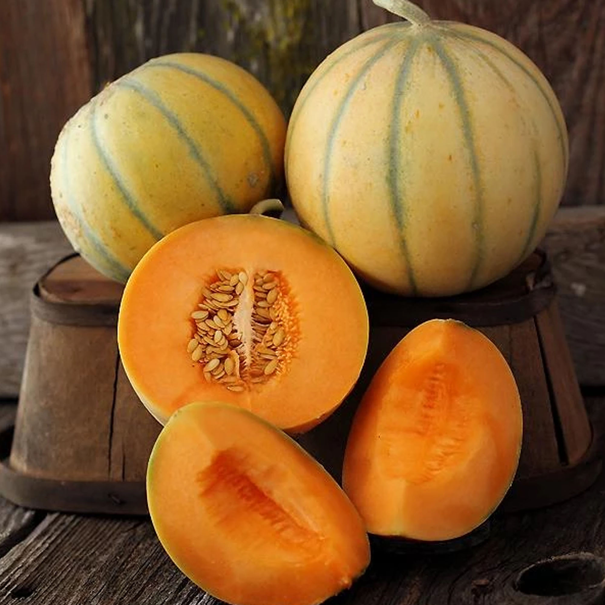 Charentais Melon Seeds - 1 Oz ~800 Seeds - Non-GMO, Heirloom - Buy Non-GMO Cucumis melo Farm & Gardening Seeds Online