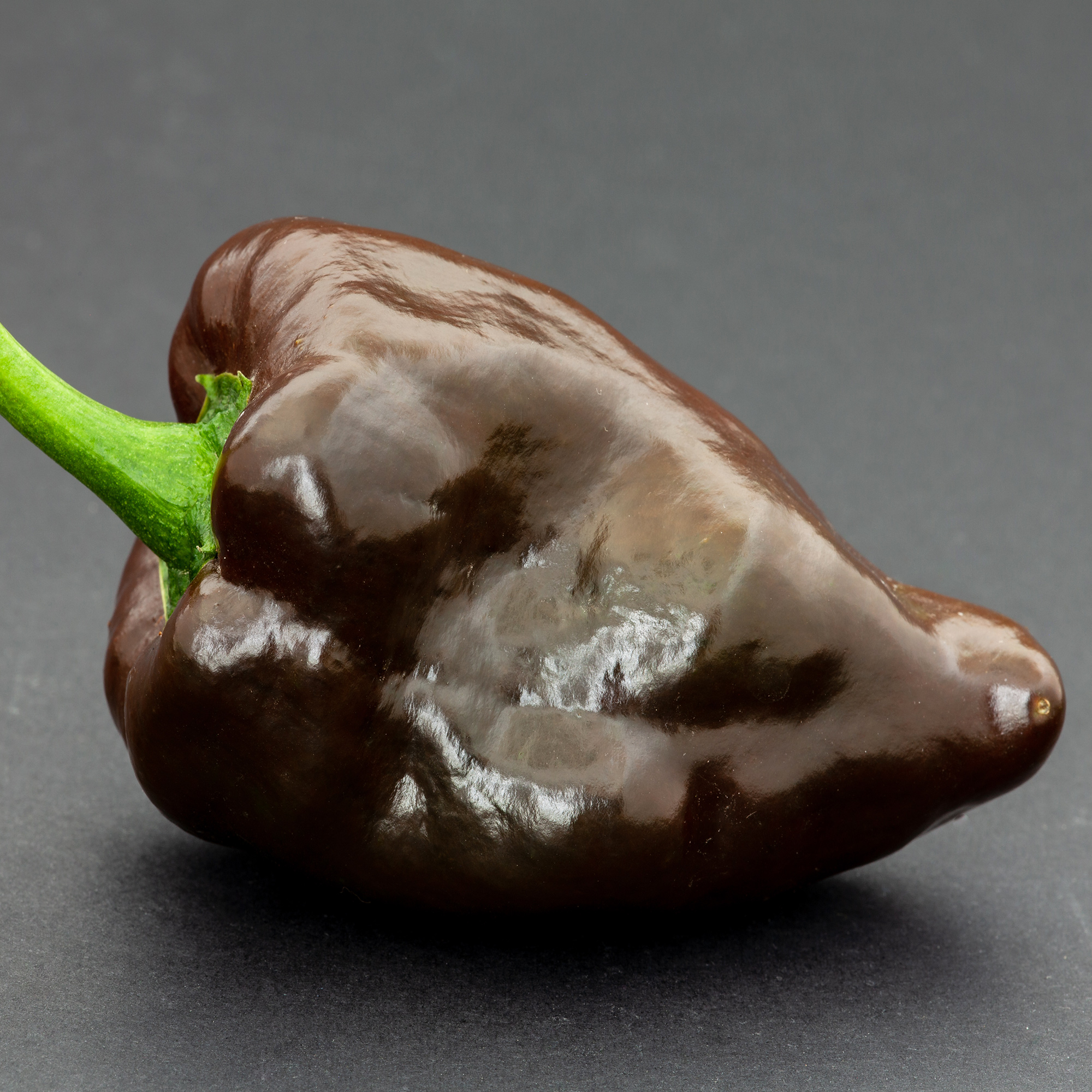 Mulato Isleno Hot Pepper Seeds - .25 Oz ~1,250 Seeds - Heirloom - Buy Non-GMO Capsicum annuum Farm & Gardening Seeds Online