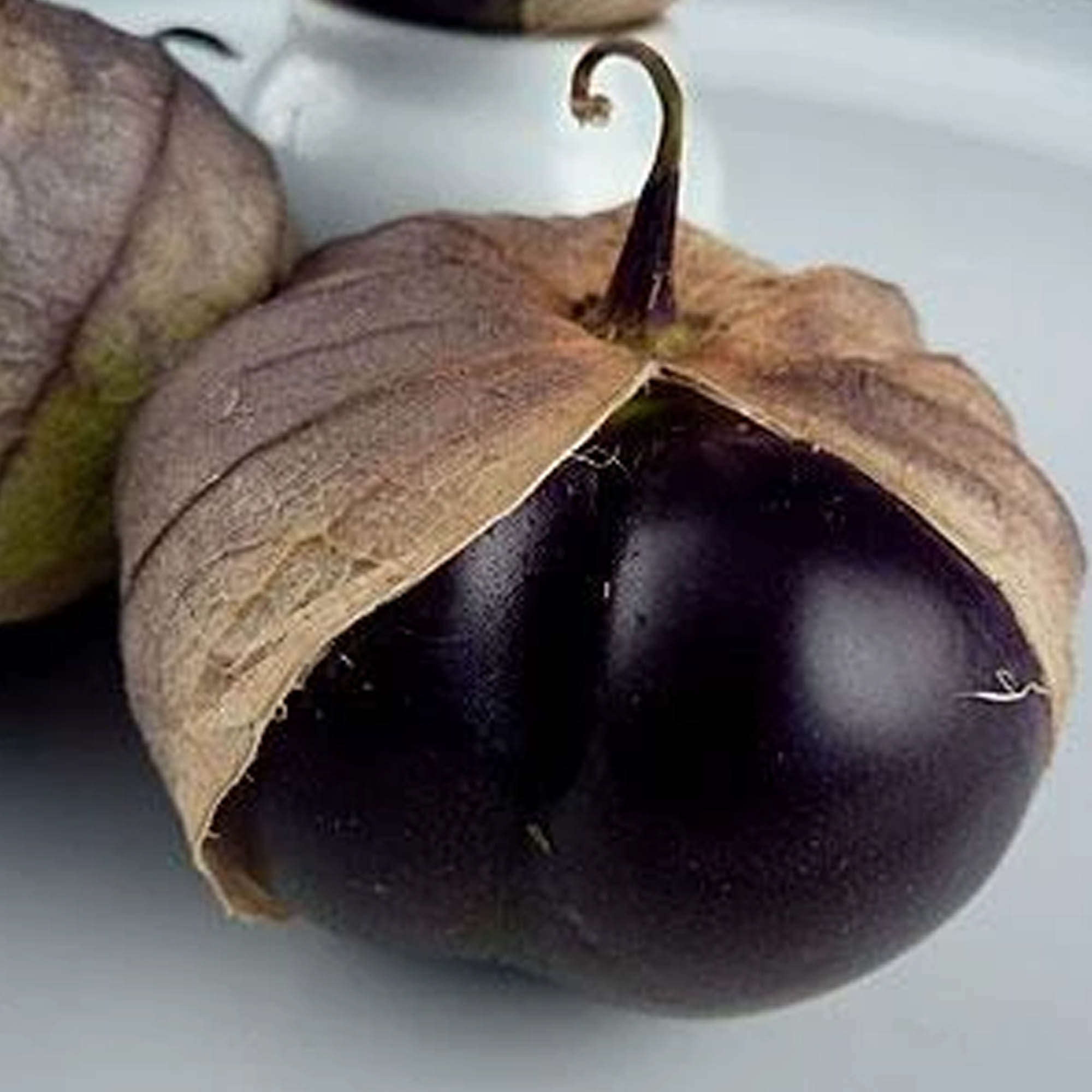 Organic Purple Tomatillo - 1 Oz ~16,000 Seeds - Heirloom, Garden - Buy Non-GMO Physalis philadelphica Farm & Gardening Seeds Onl