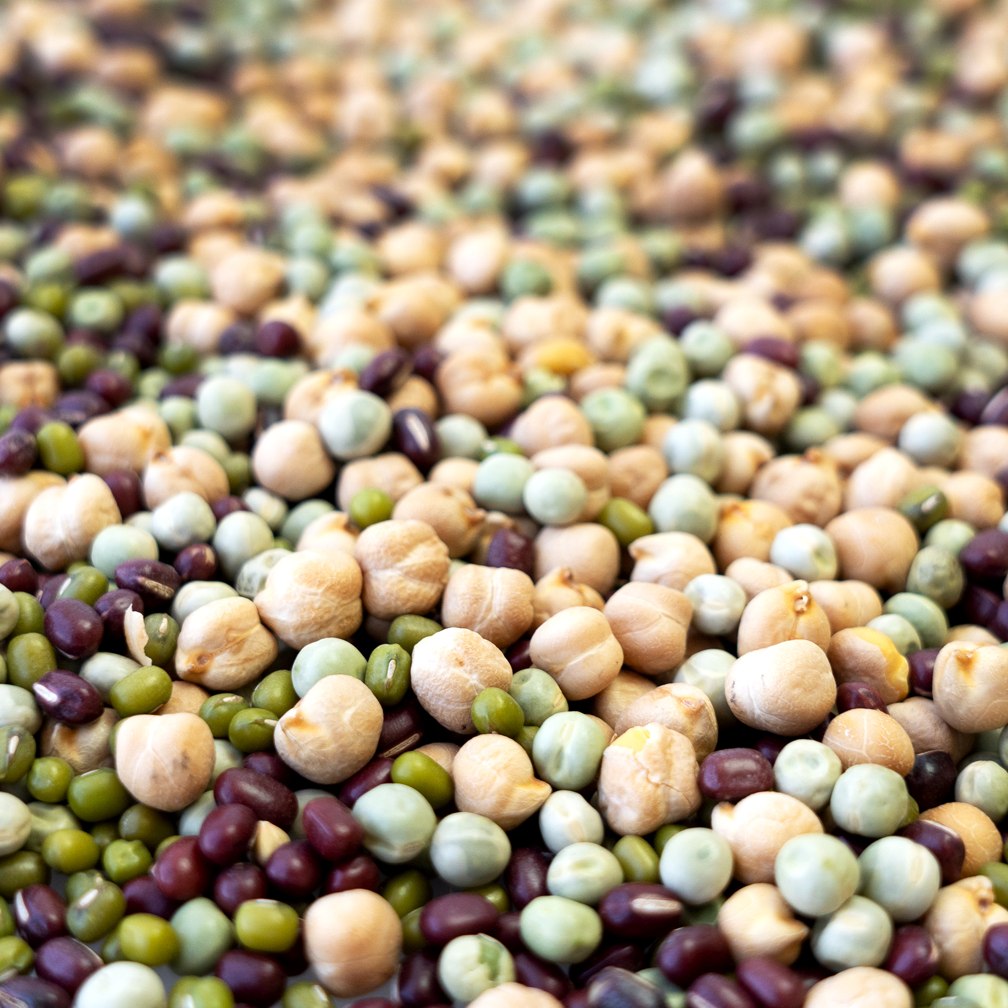 Organic Protein Powerhouse Sprouting Seed Mix-Vegan Protein-2.5 Lb - Sprouts, Sprouting - Healthy Living & Raw Food - Grow, Grow