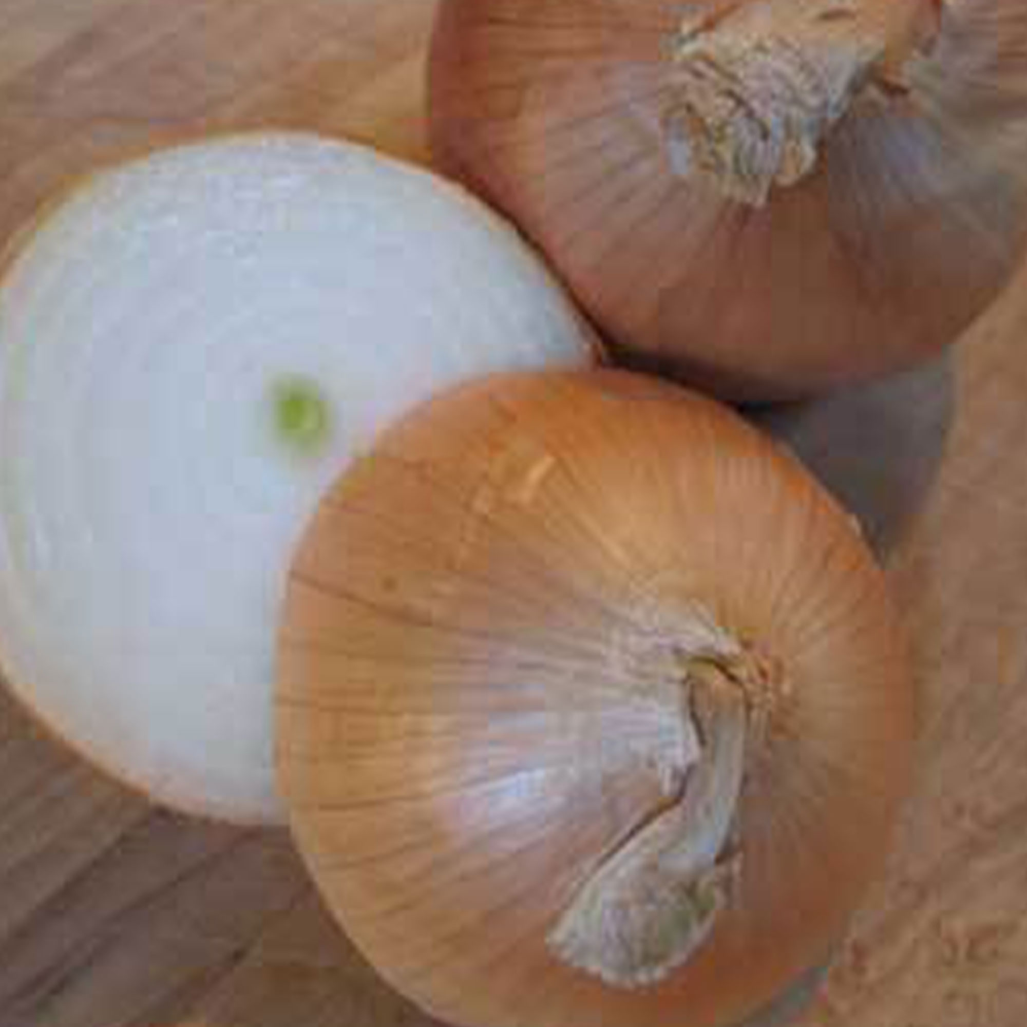 Organic Onion Seeds - Utah Yellow Sweet Spanish - 1 Oz ~7,000 Seeds - Non-GMO Organic Heirloom - Buy Allium Cepa Farm & Gardenin