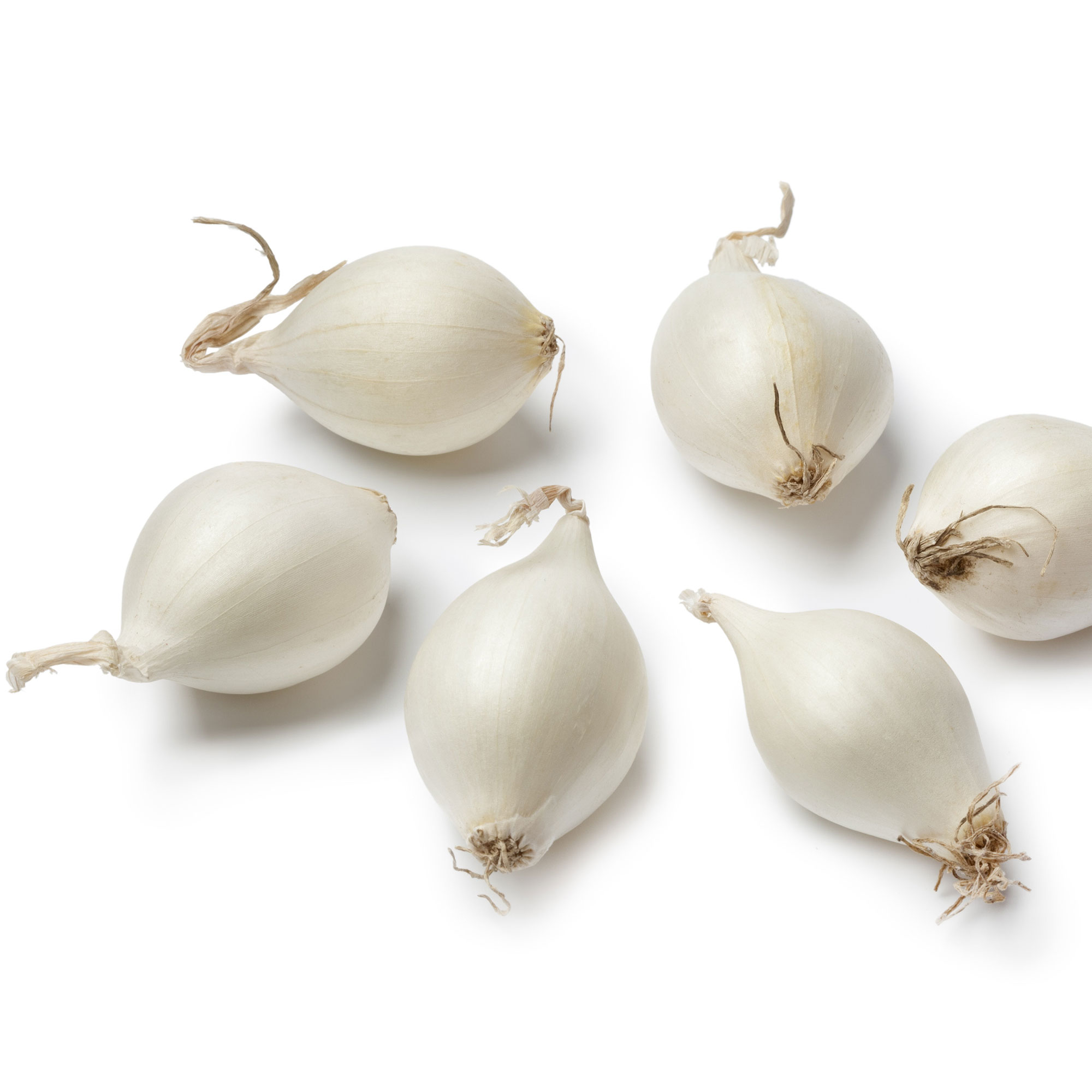 Onion Sets - Snowball White - 100 Sets - Biennial - Allium cepa - Non-GMO Heirloom Onion Bulb Starts for Gardening. Plant Garden