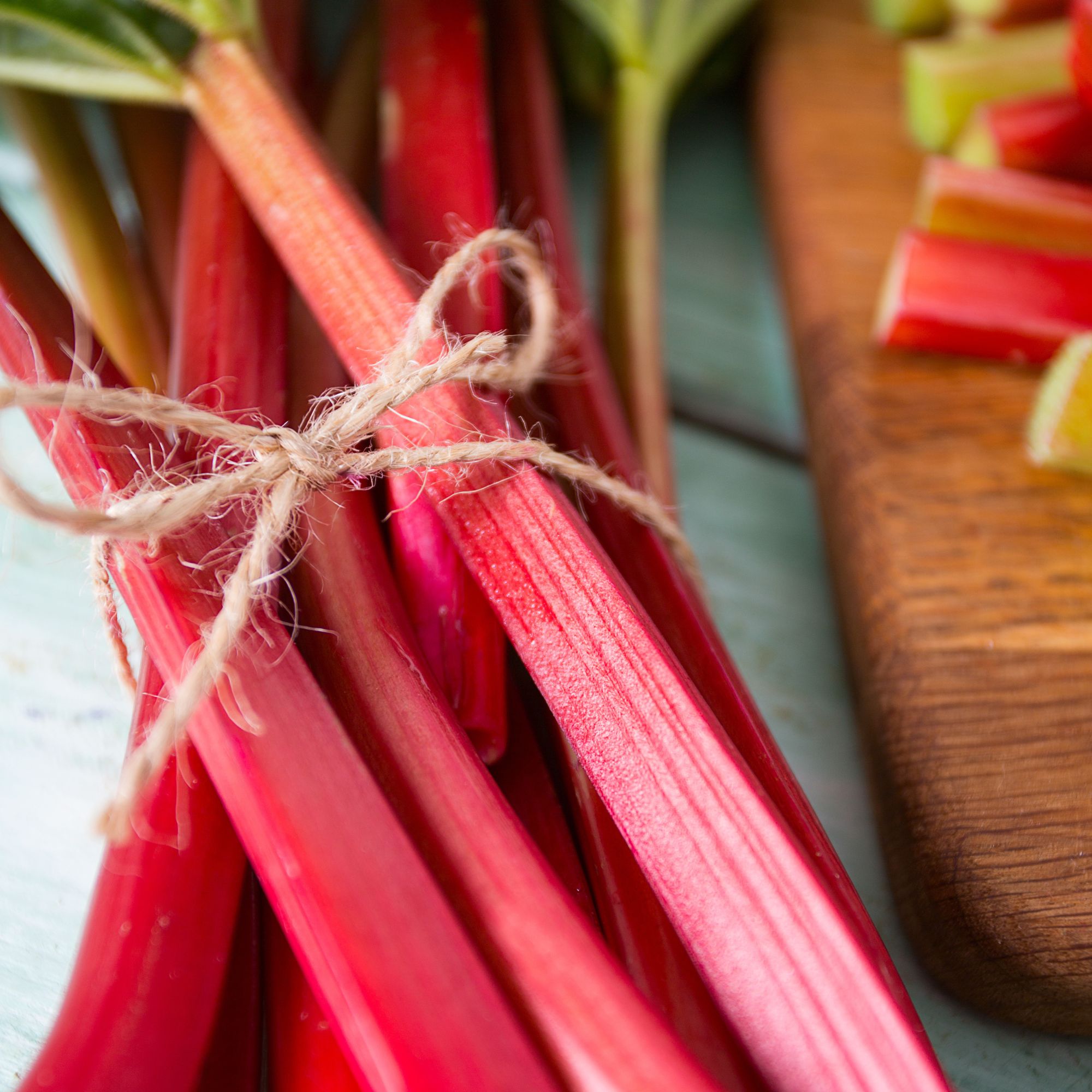 Rhubarb Crowns - Spring - Canadian Red - 4 Pack - Rheum rhabarbarum - Live Rhubarb Spring Plant Root Starts - Grow Heirloom Gard