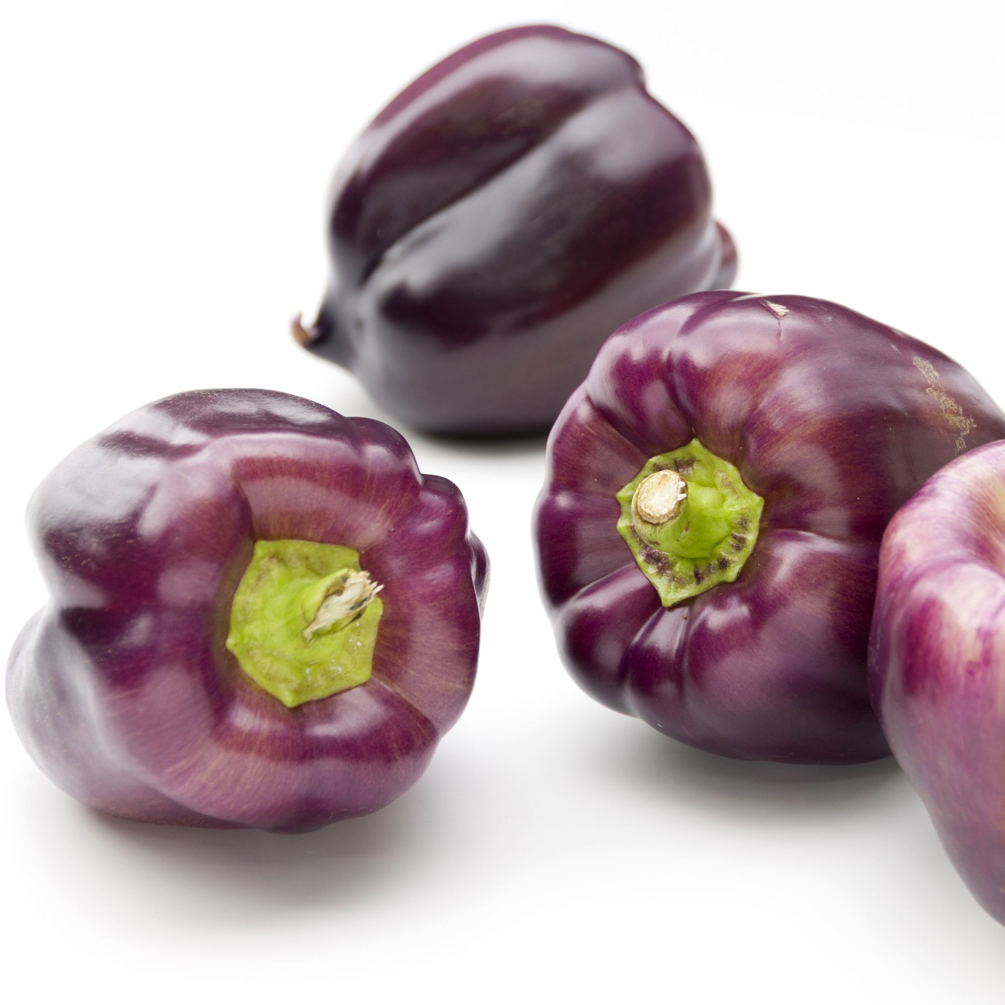 Organic Purple Beauty Bell Pepper - 1/4 LB Bulk ~18,000 Seeds - Farm - Buy Non-GMO Capsicum annuum Farm & Gardening Seeds Online