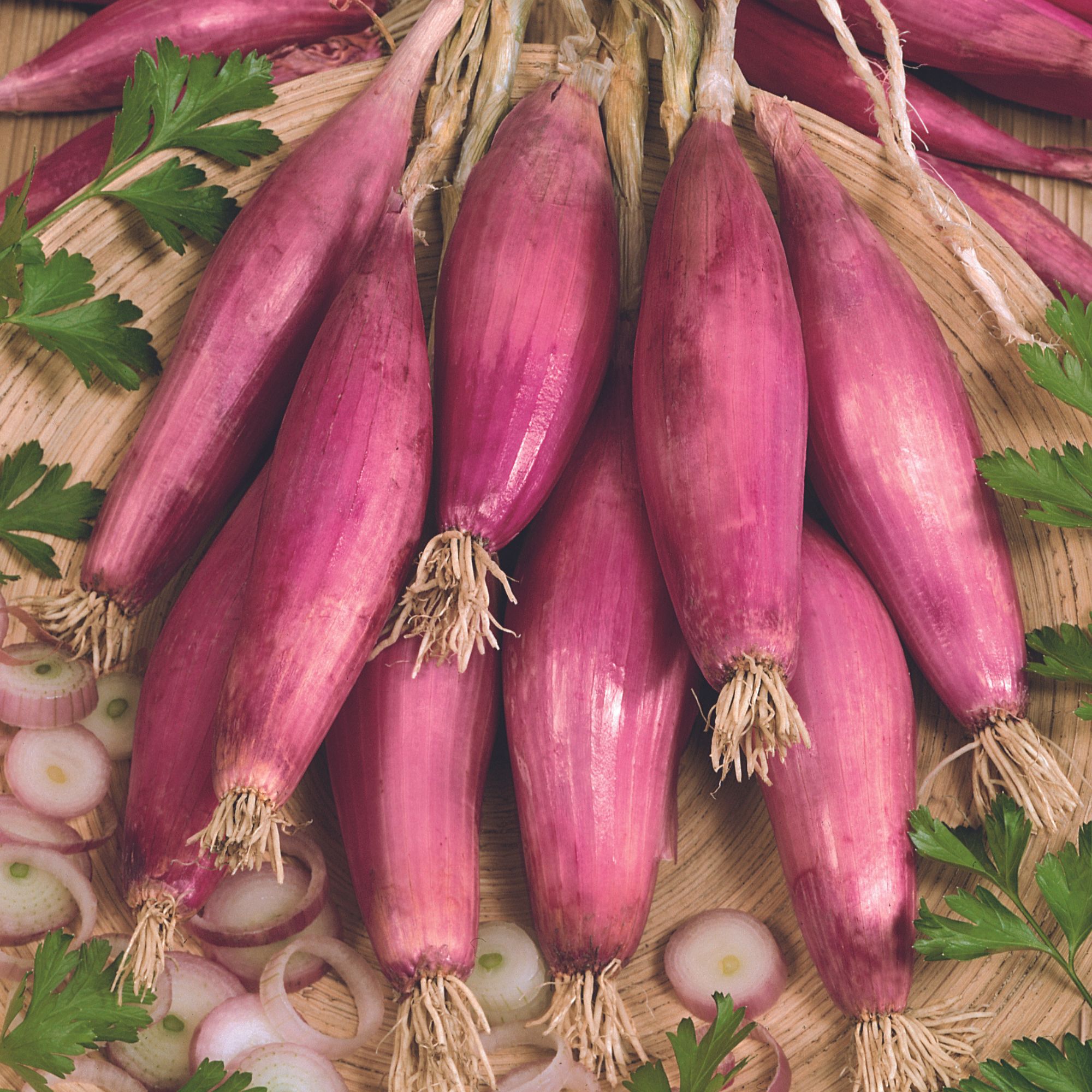 Onion Seeds - Red Of Florence - 1 Lb ~152,800 Seeds - Allium Cepa - Non-GMO, Farm Garden Seeds for Planting - Buy Online Wholesa