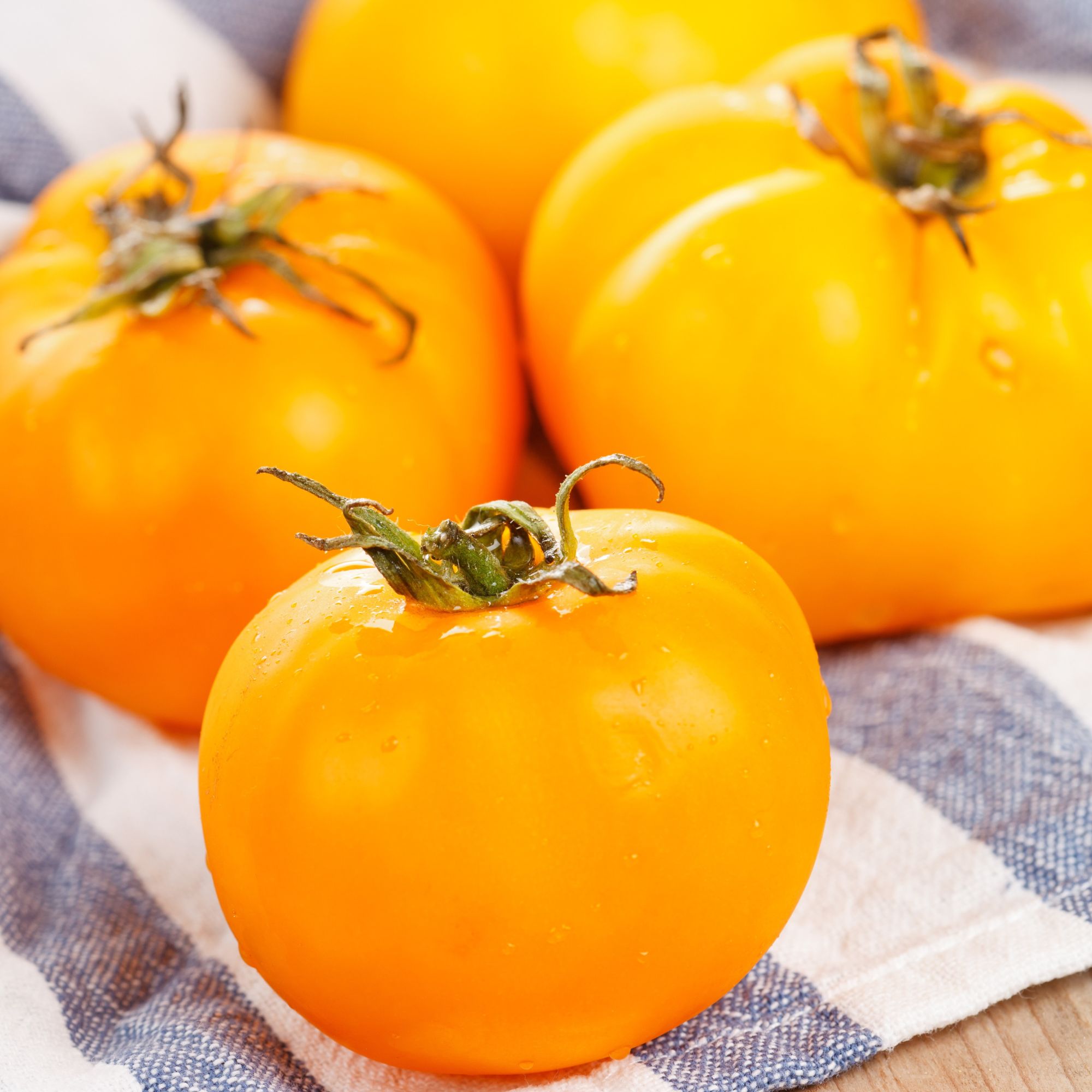 Tomato - Sunsugar Hybrid - 10 Seeds - Non-GMO Gardening - Buy Non-GMO Solanum lycopersicum Farm & Gardening Seeds Online
