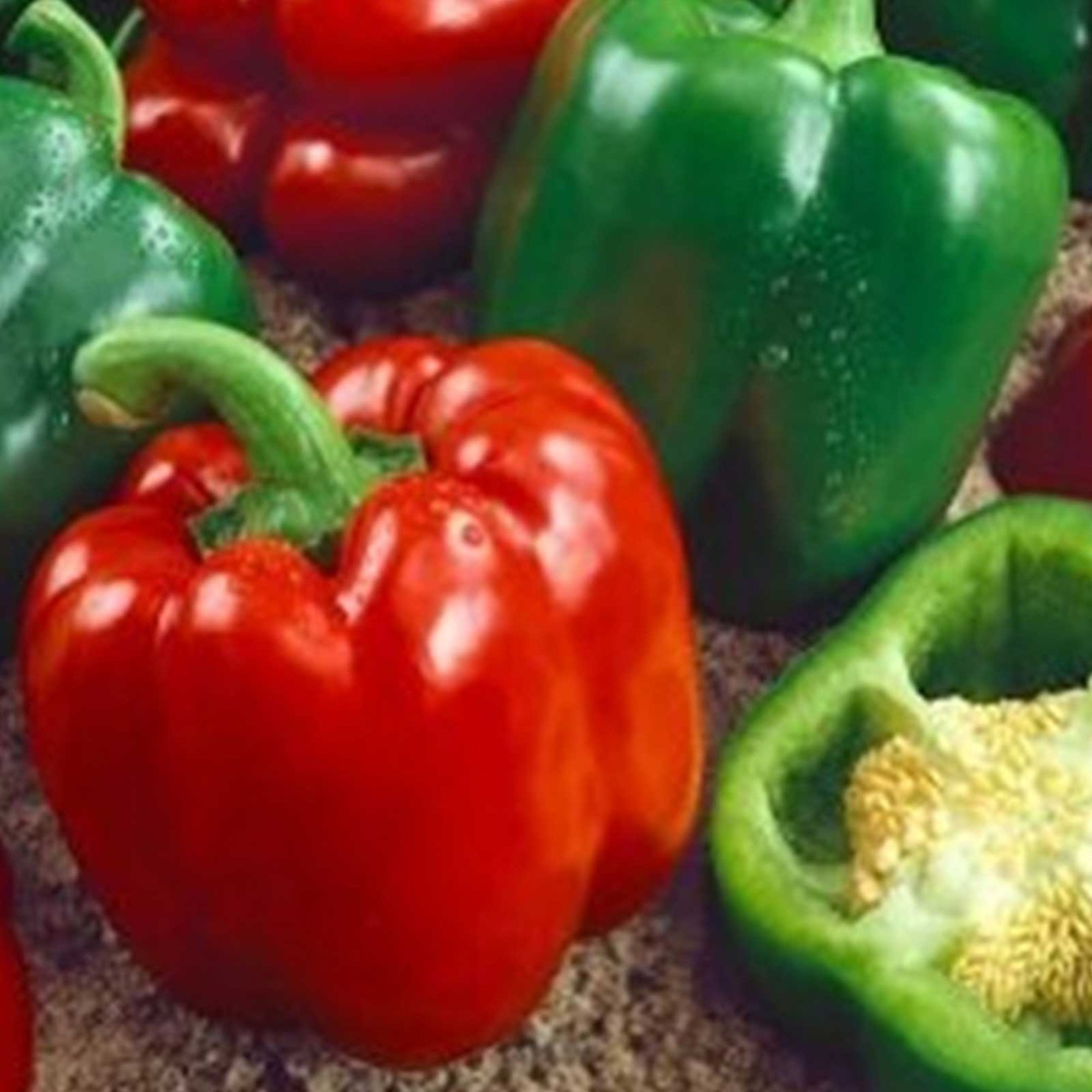 Organic Keystone Resistant Giant Sweet Pepper Seeds - 1 Oz ~3,620 Seeds - Heirloom - Buy Non-GMO Bulk Capsicum annuum Farm & Gar