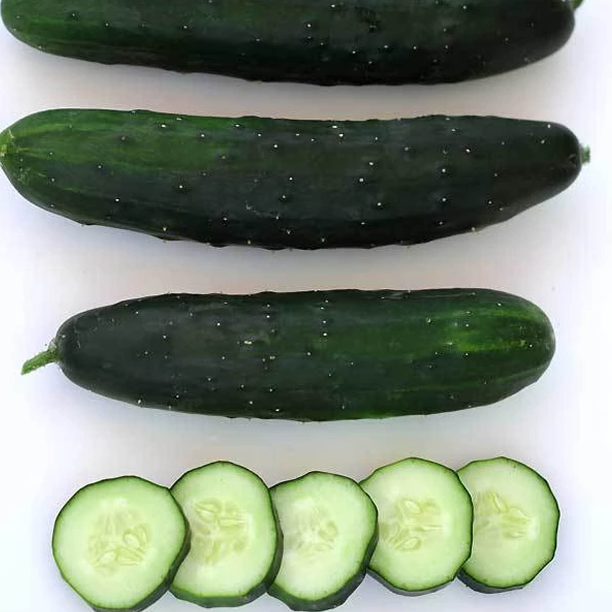 Marketmore 80 Cucumber Seeds - 1 Lb ~17,600 Seeds, Open Pollinated, Non-GMO - Buy Bulk Non-GMO, Cucumis sativus Seeds Online - B