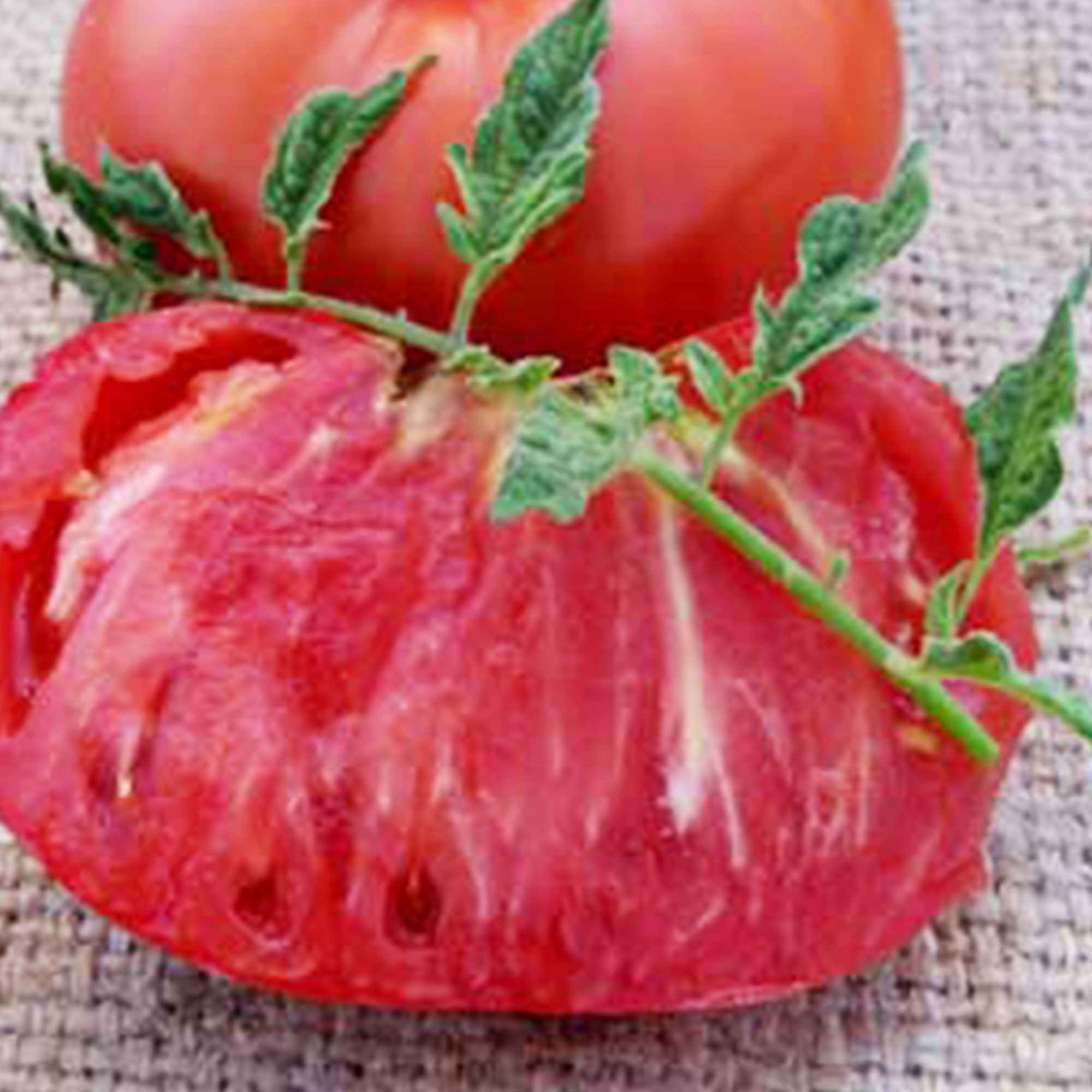 Marianna's Peace Tomato Seeds - 1 Oz ~7,500 Seeds - Heirloom, Non-GMO, Gardening - Buy Non-GMO Solanum lycopersicum Farm & Garde