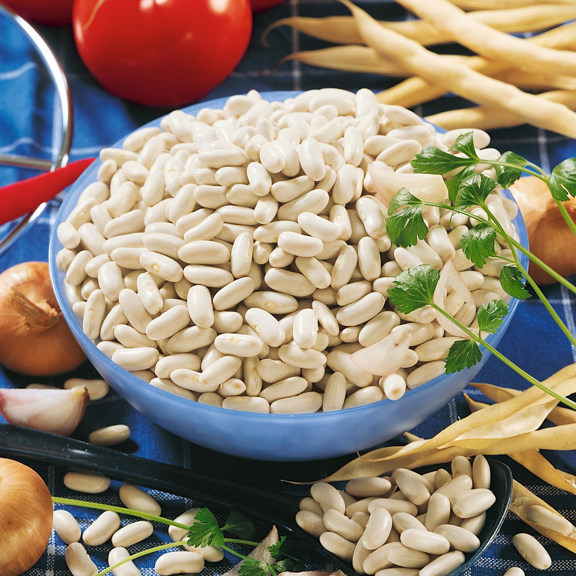 Organic Bean Seeds - Pole - Great Northern Cannellini - 4 Oz ~292 Seeds - Buy Non-GMO Phaseolus Vulgaris Farm, Home & Garden See