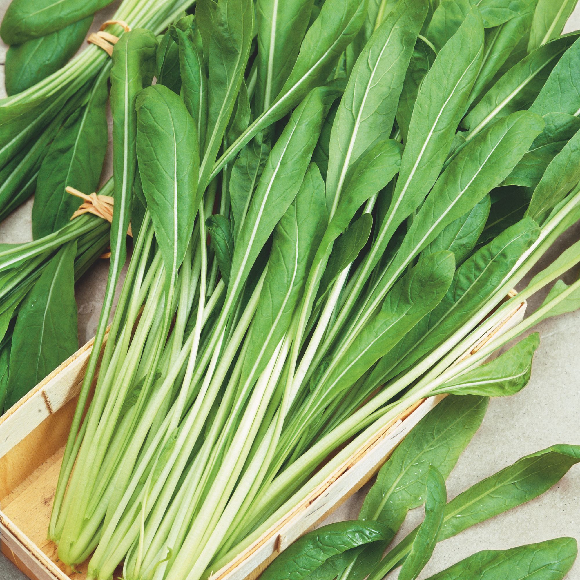 Mustard Seeds - Early Mibuna -1 Oz ~11100 Seeds - Non-GMO, Heirloom - Asian Garden Vegetable, Microgreens & Herb Gardening