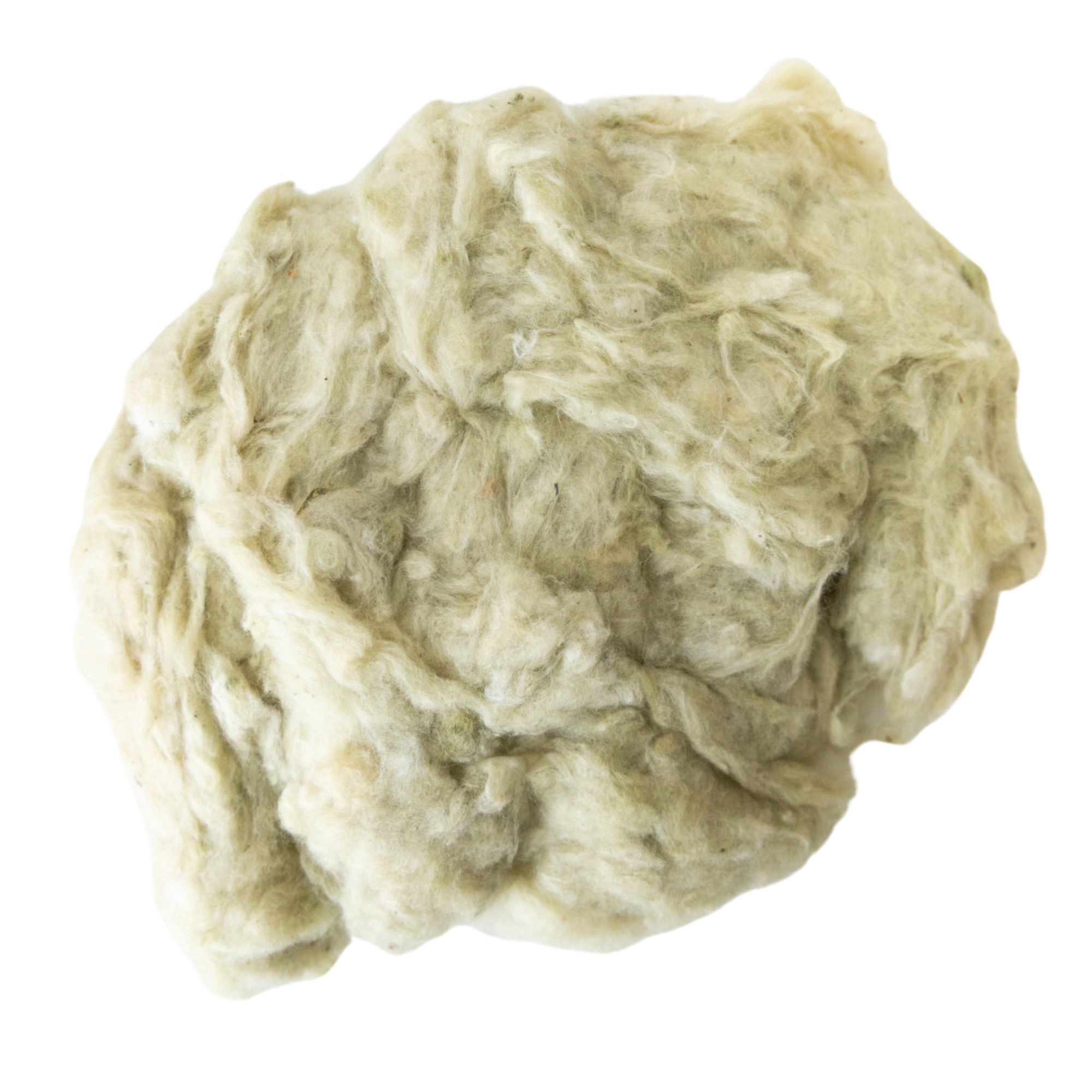 Erlenes Green Cotton Seeds - 25 Seeds - Heirloom - Open Pollinated - Buy Non-GMO Gossypium hirsutum Farm & Gardening Seeds Onlin