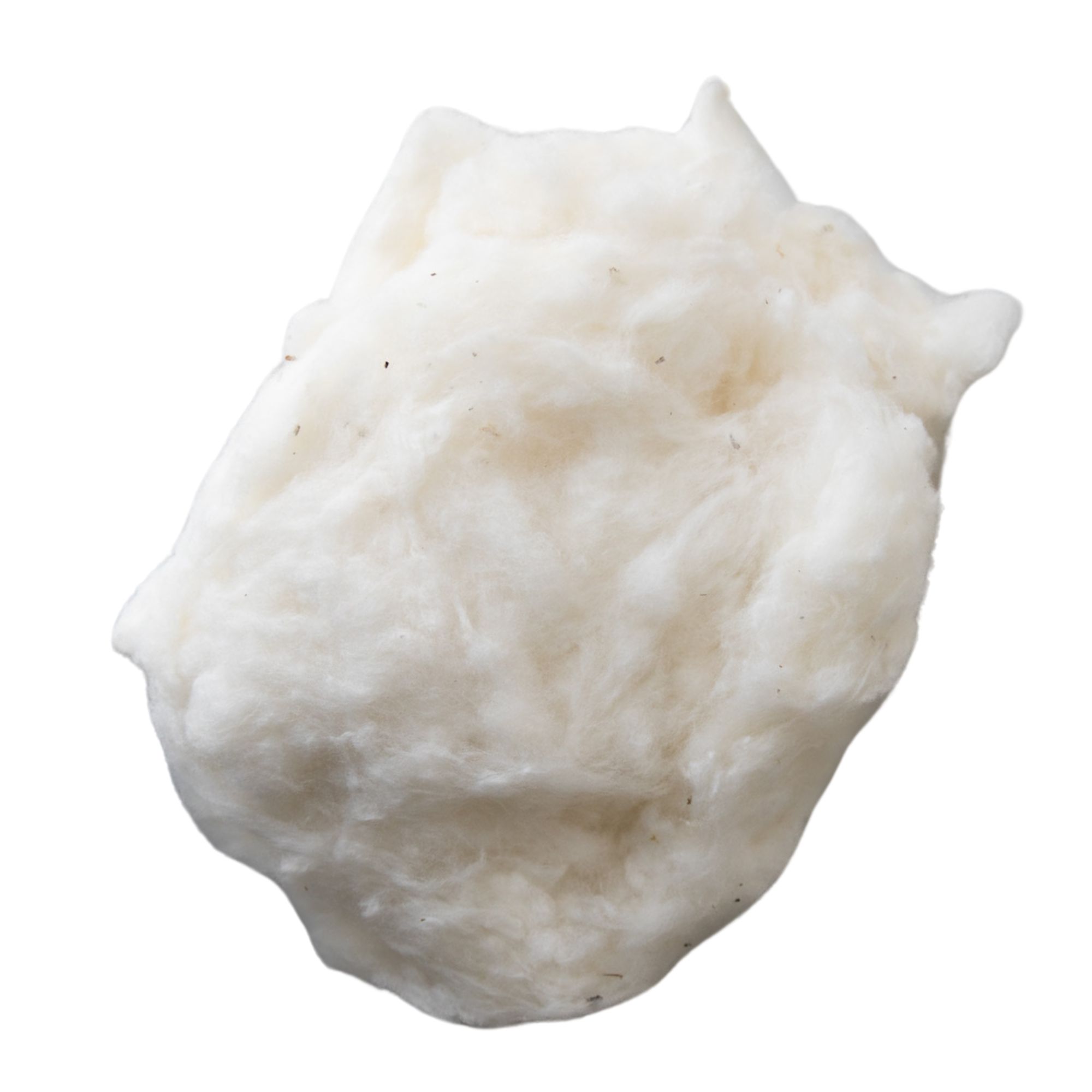 Red Beauty Cotton Seeds - 10 Seeds - Heirloom - Buy Non-GMO Gossypium sp. Farm & Gardening Seeds for Planting - Buy Bulk Online