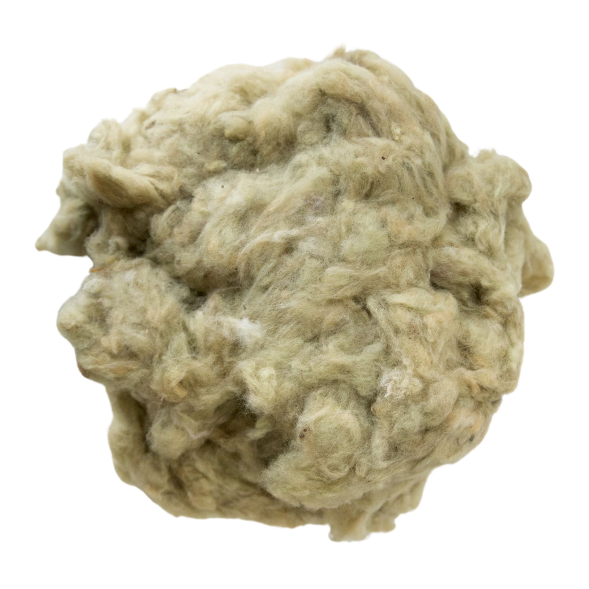 Arkansas Green Lint Cotton Seeds - 50 Seeds - Heirloom - Open Pollinated - Buy Non-GMO Gossypium hirsutum Farm & Gardening Seeds