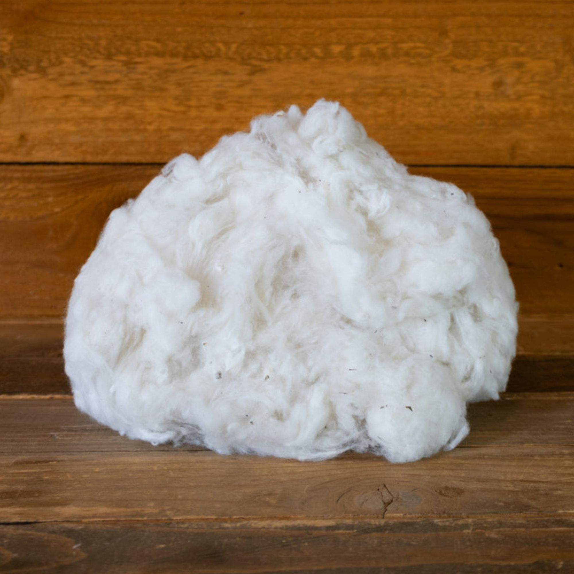 Rajhans Cotton Seeds - 5 Seeds - Annual - Heirloom - Buy Non-GMO Gossypium sp. Farm, Home & Garden Seeds for Planting - Buy Bulk