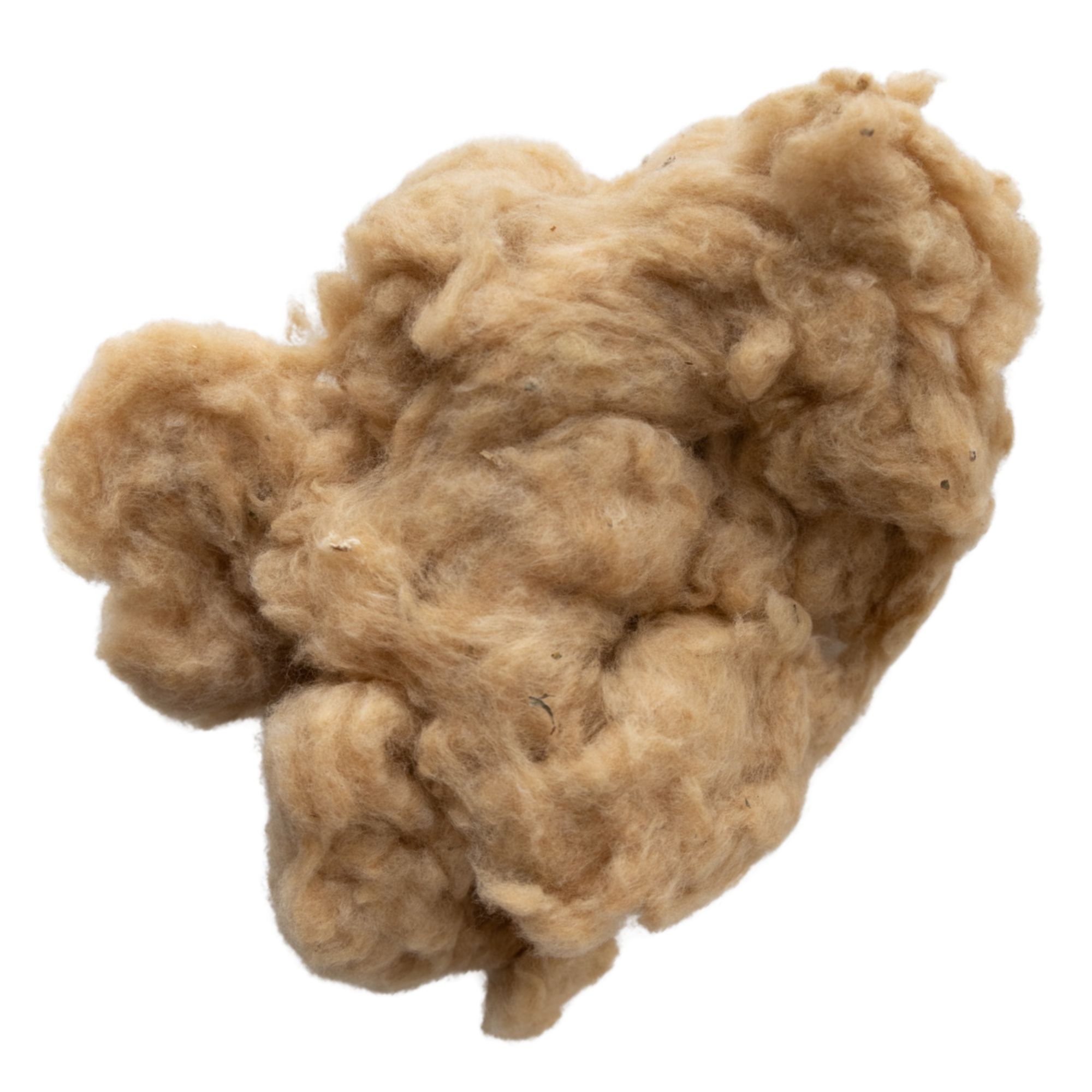 Sea Island Brown Cotton Seeds - 50 Seeds - Heirloom - Buy Non-GMO Gossypium barbadense Farm & Gardening Seeds For Planting Onlin