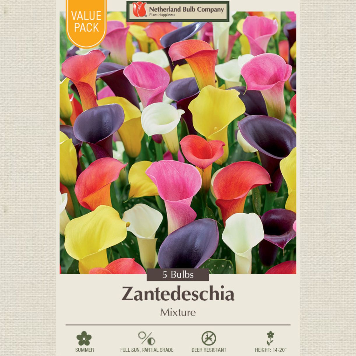 Calla Lily Flower Bulbs - Mix - Set of 5 Bulbs - Zantedeschia spp - White, Pink, Yellow & Purple - Non-GMO Flower Garden Start S