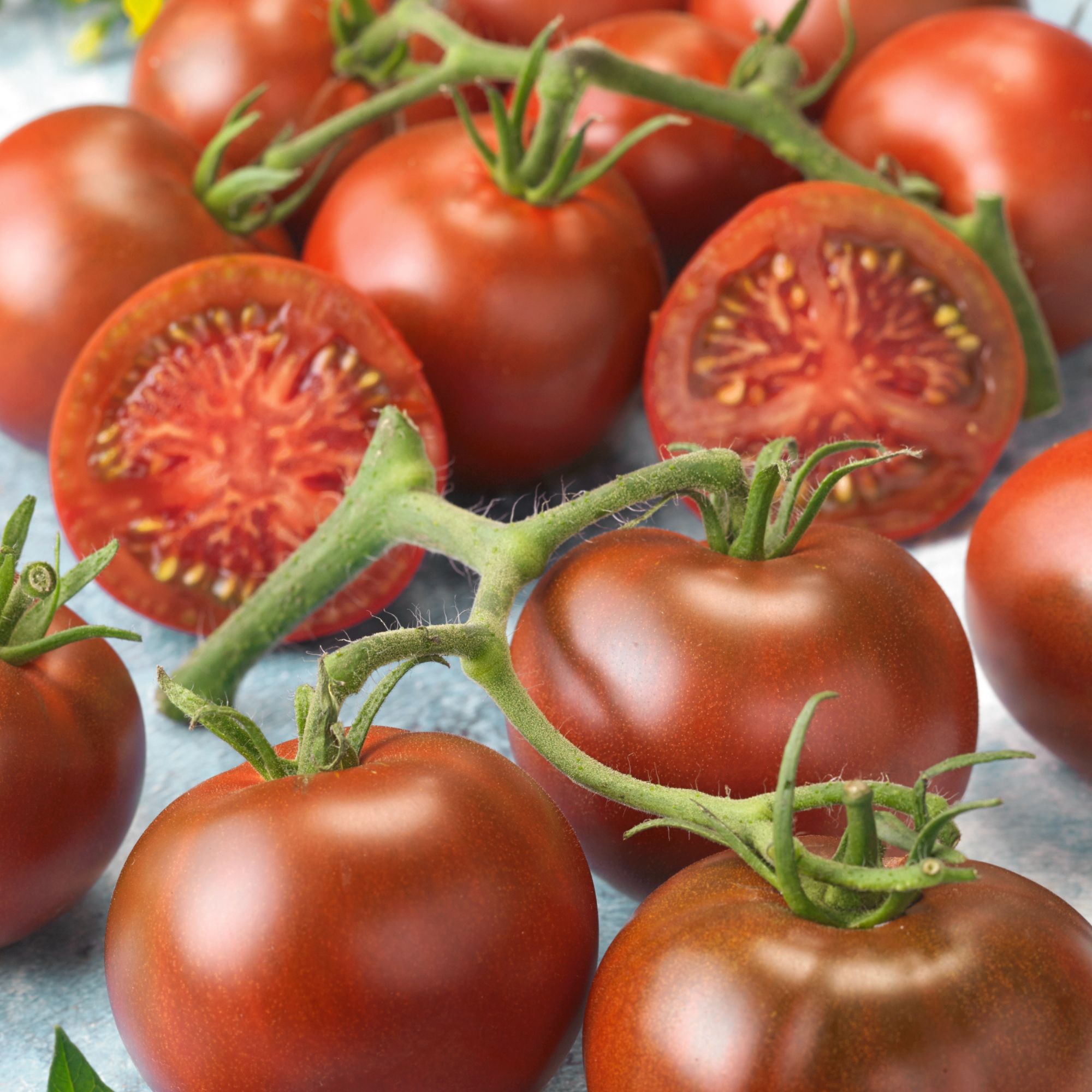 Early Choice Black F1 Slicing Tomato Seeds - 1 Lb ~174,256 Seeds - heirloom - Buy Non-GMO - Annual - Solanum lycopersicum Farm, 