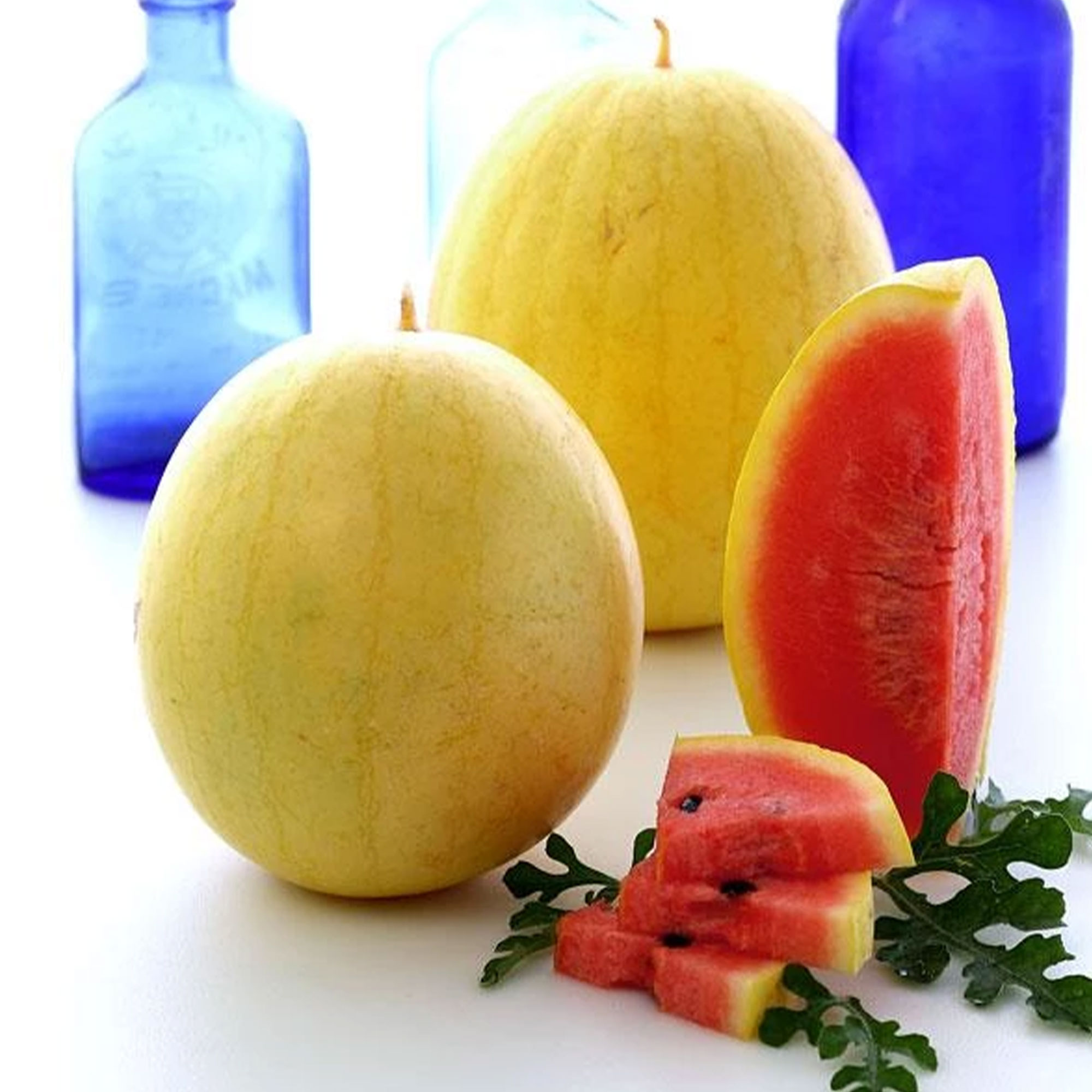 Golden Midget Watermelon Seeds - 1 Lb ~7,520Seeds - Open Pollinated - Buy Non-GMO Citrullus lanatus Farm & Gardening Seeds Onlin