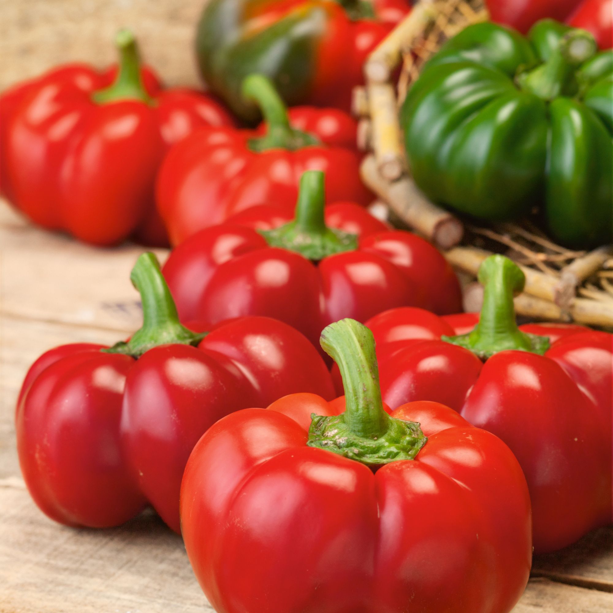 Sheepnose Pimento Sweet Pepper Seeds - 300mg ~47 Seeds - Heirloom - Buy Non-GMO Capsicum annuum Farm, Home & Gardening Seeds for