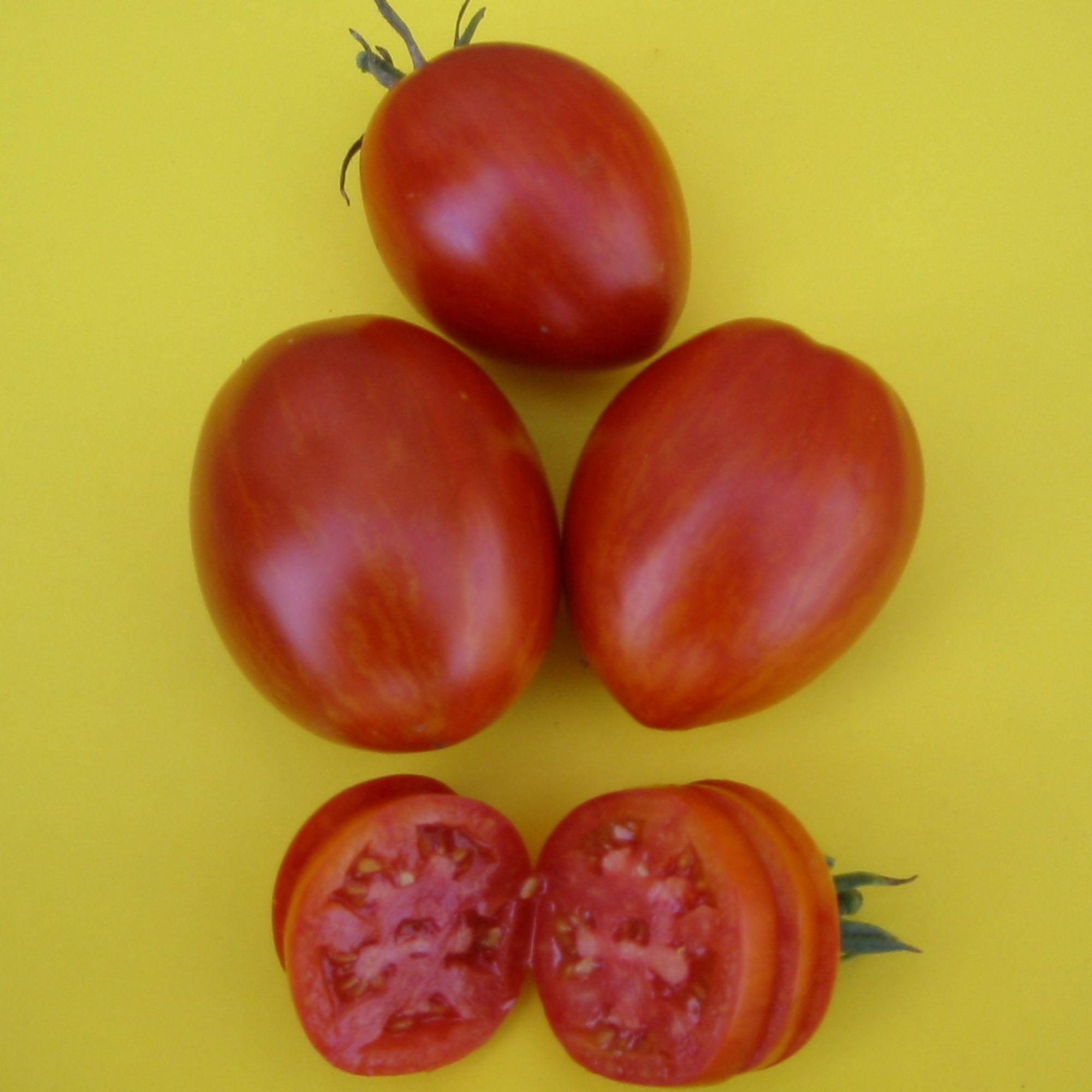 Red Zebra Salad Tomato Seeds - 300 mg ~106 Seeds - Open Pollinated - Buy Non-GMO - Annual - Solanum lycopersicum Farm, Home & Ga