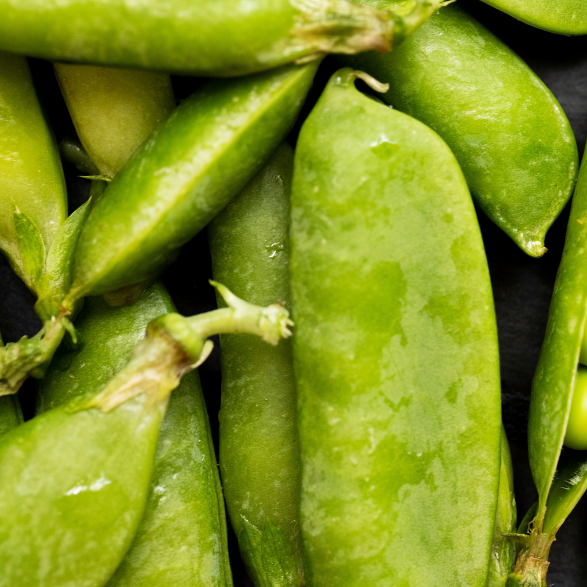 Sugar Sprint Snap - 25 g Packet ~75 Seeds - Non-GMO Heirloom Vegetable - Buy Non-GMO Pisum sativum Farm & Gardening Seeds Online