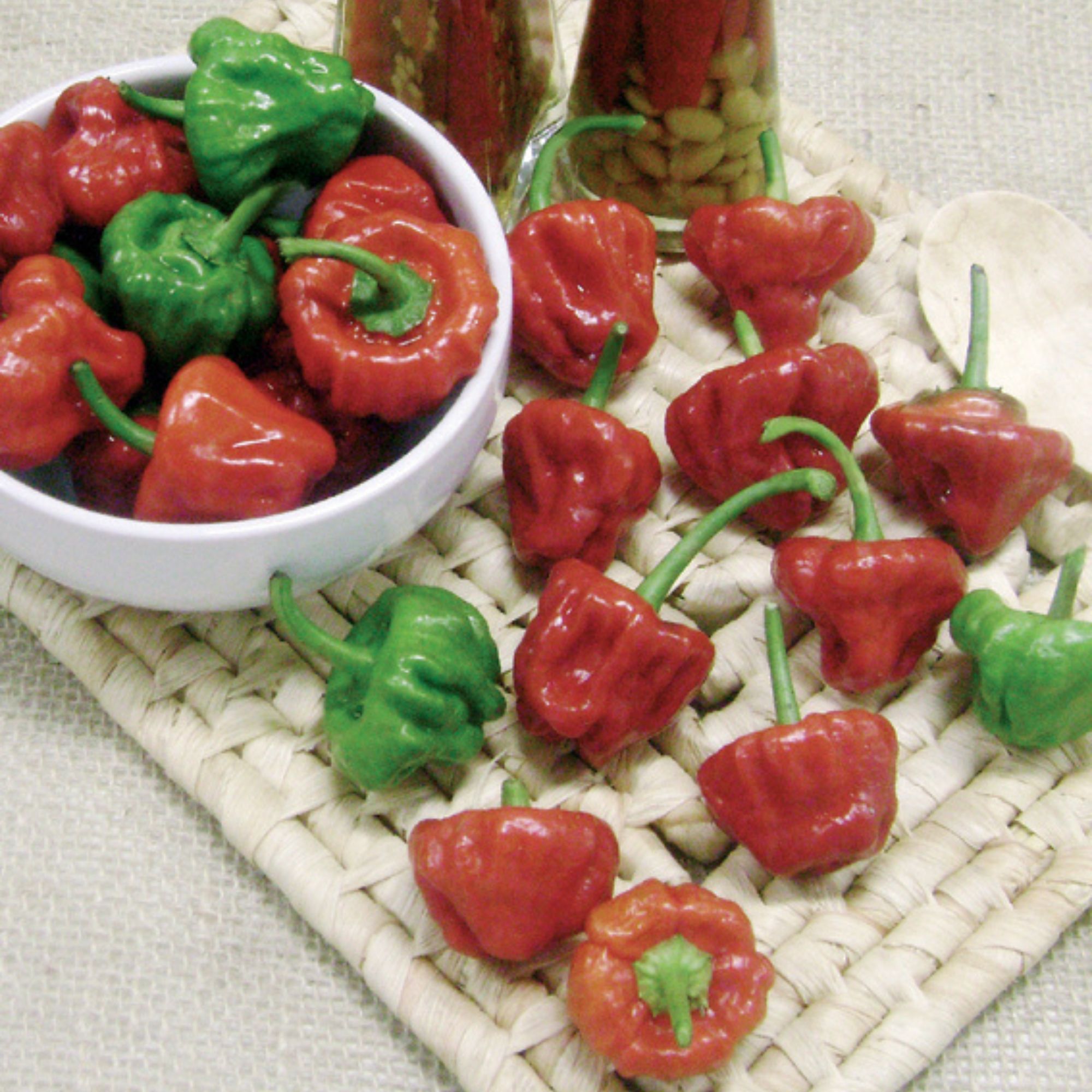 Jamaican Red Hot Pepper Seeds - 250mg Packet - Buy Non-GMO Open-Pollinated Heirloom Capsicum chinense Farm and Garden Seeds Onli