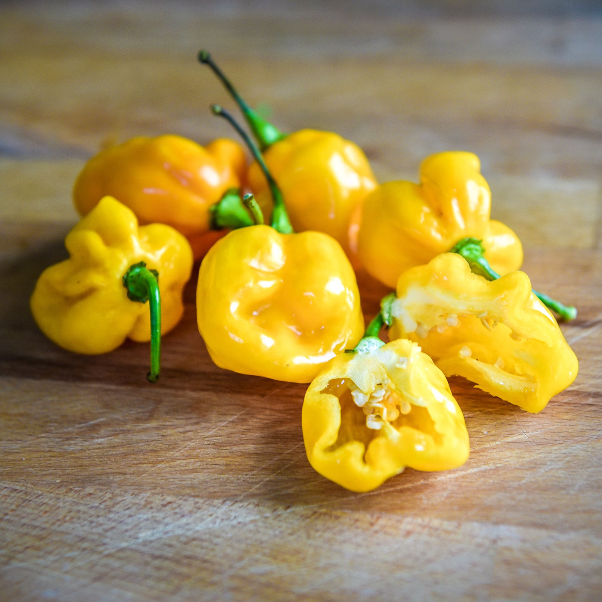 Pepper Seeds - Hot - Devils Yellow 1 oz ~ 8,400 Seeds - NON-GMO - Open Pollinated - Heirloom Capsicum chinense Farm & Gardening 