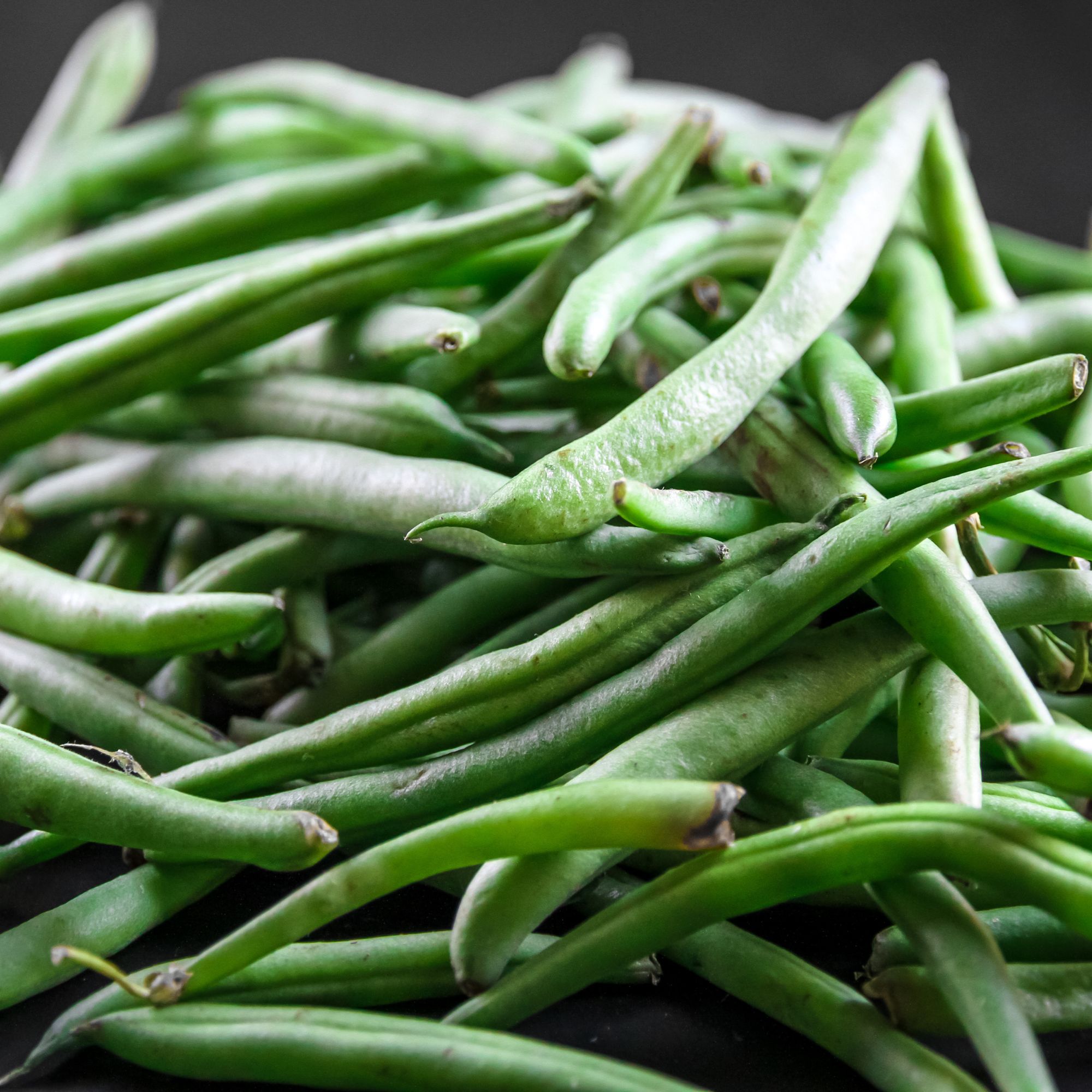 Kentucky Wonder Bush Beans - 1 LB ~1,600 Seeds - Non-GMO, Gardening - Buy Non-GMO, Open Pollinated Seeds Online - Best Seed Supp