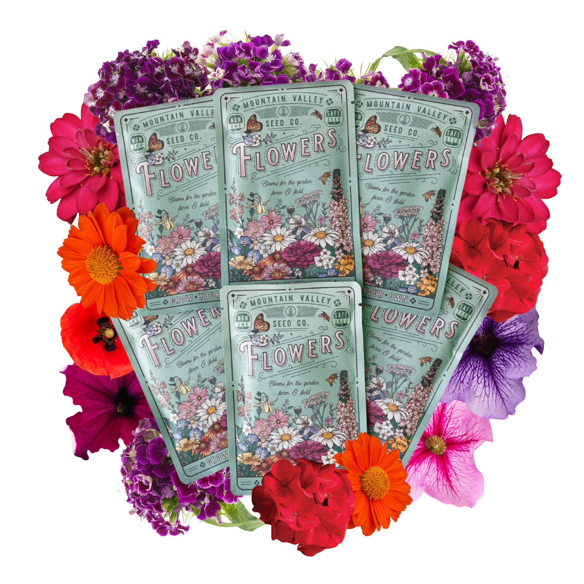 Flower Seeds Collection - Shades of Red & Purple - 6 Varieties Including Zinnia, Aster, Petunia, Begonia, Geranium, and 2 Variet