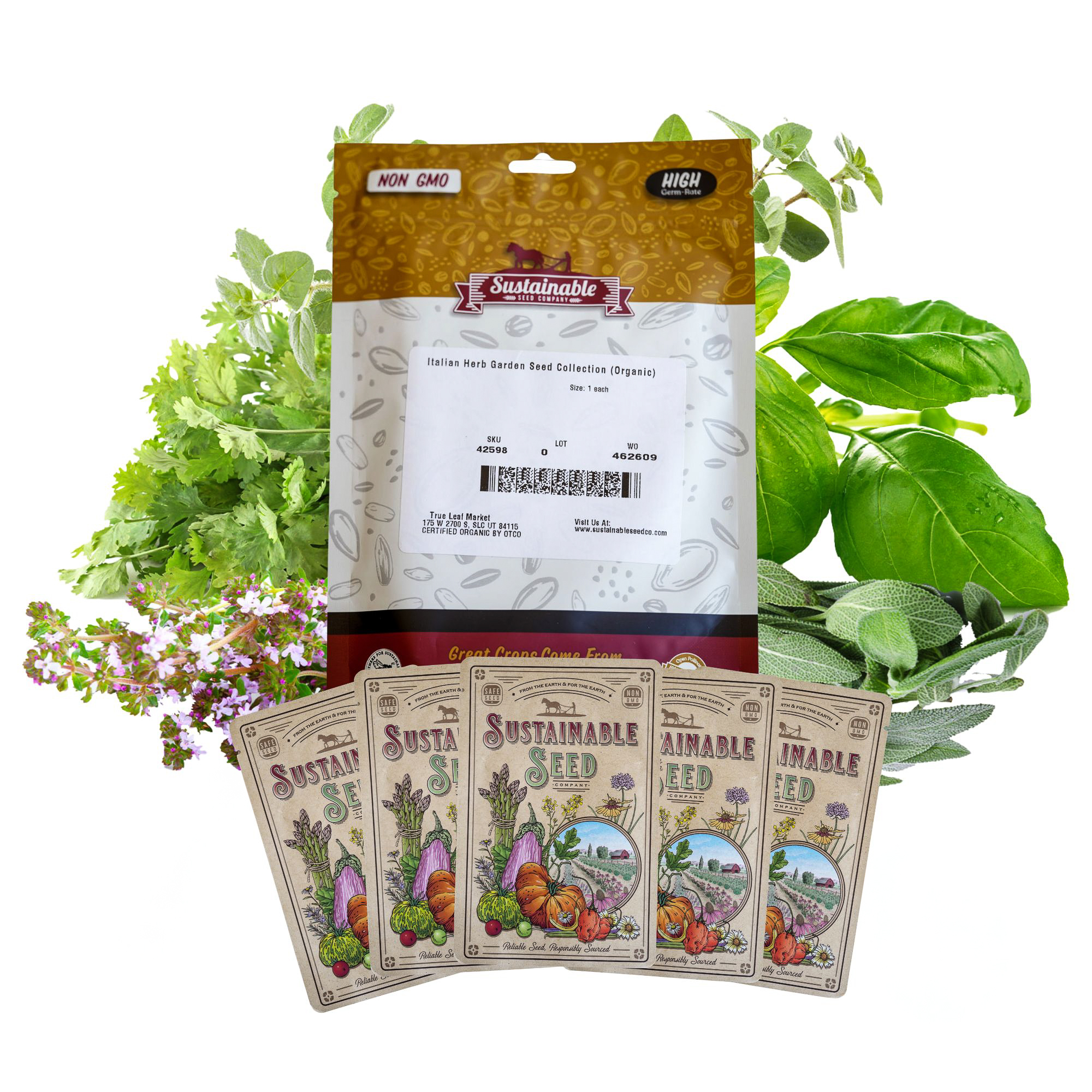 Organic Italian Herb Garden Seed Collection - 5 Non-GMO, Seed Packets