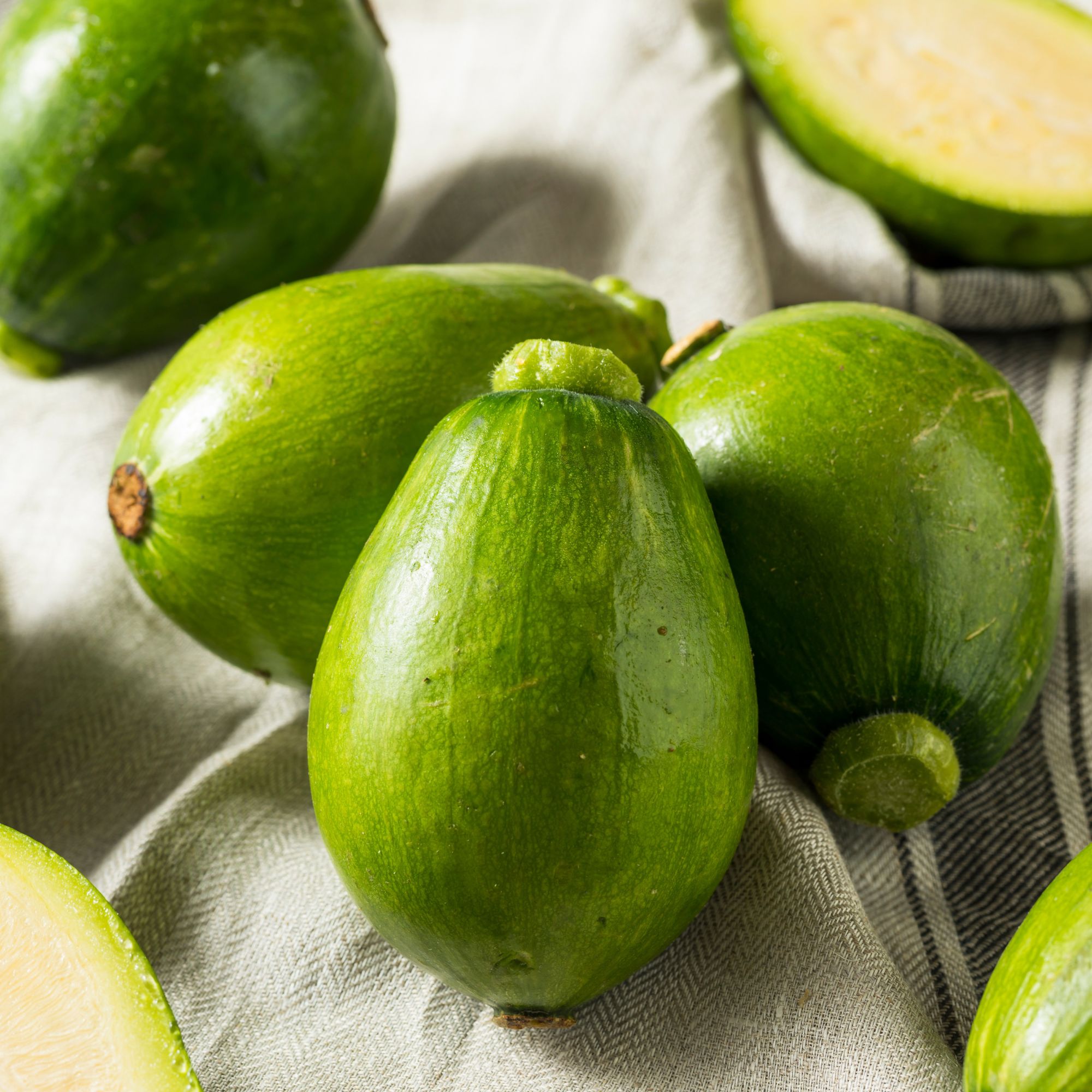 Squash Seeds - Korean, Summer - Teot Bat Put - Hybrid -1 Lb ~3200 Seeds - Non-GMO, F1 Hybrid - Asian Garden Vegetable