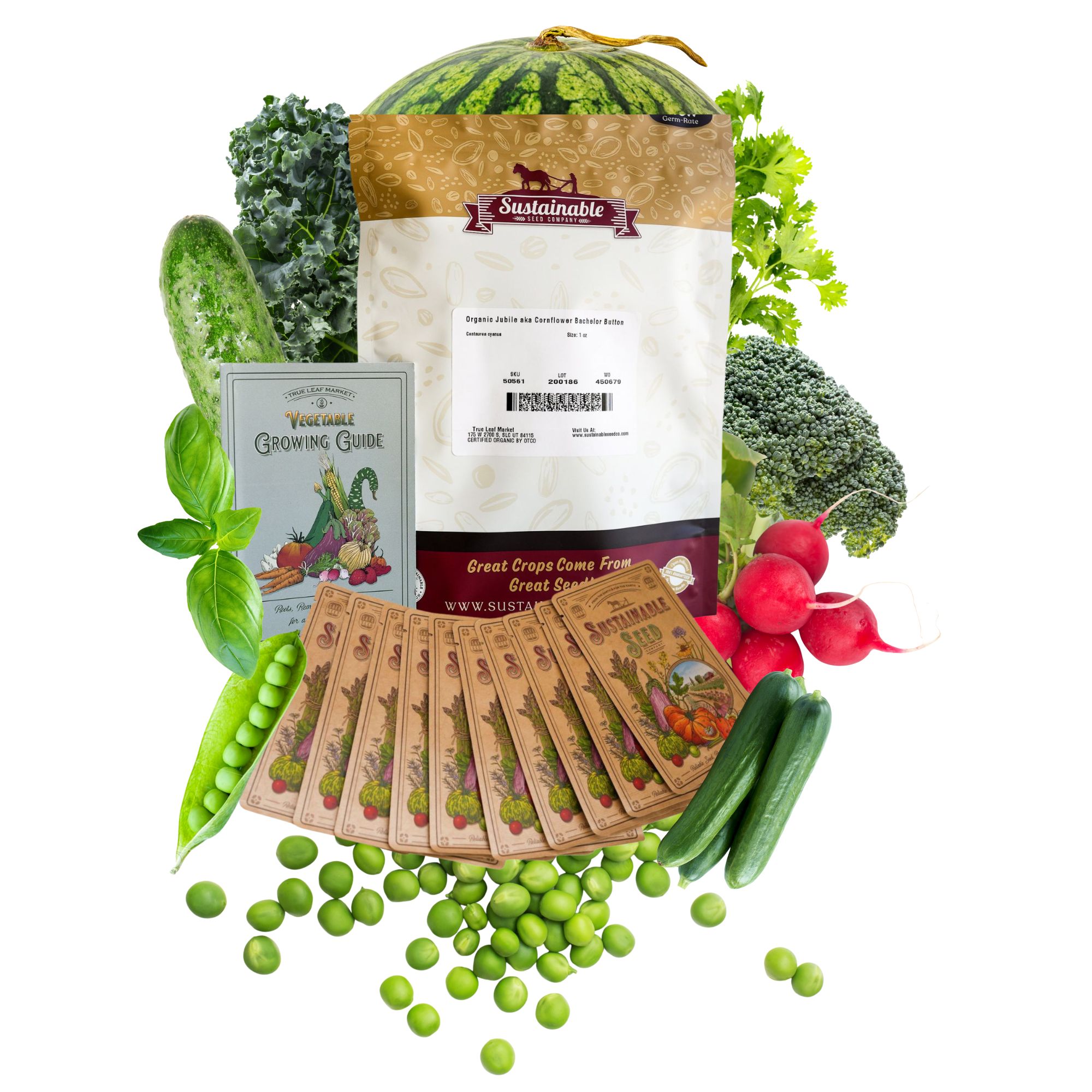 Organic Vegetable Seeds Collection - 10 Varieties of Heirloom Seeds