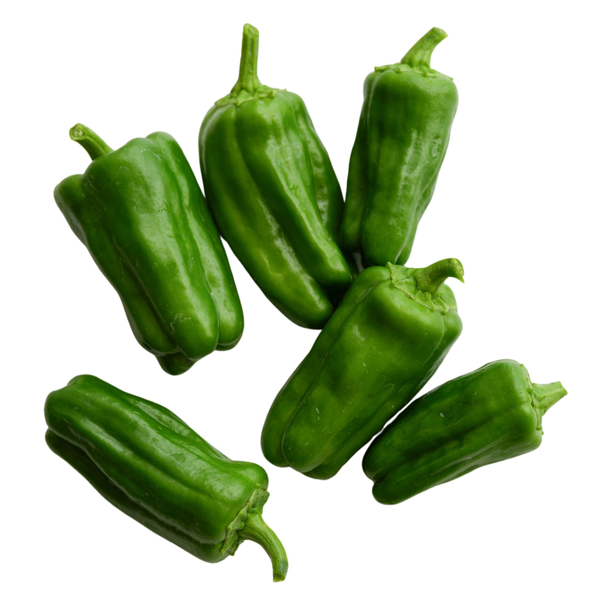 Tender Bell F1 Pepper Seeds - 4 Oz Bulk ~19,600 Seeds - Hybrid Sweet Pepper Seeds - Non-GMO Asian Pepper Seed for Gardening, Far
